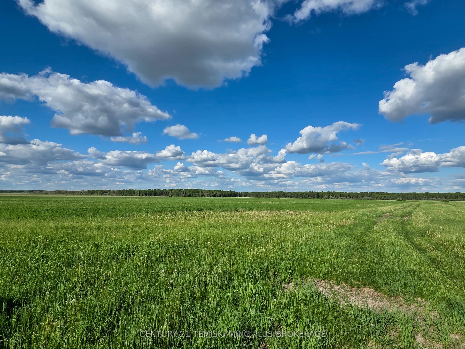 Photo 41 of 84335 Edwards Road, Timiskaming, TIM - Outside - Rural — HOMEH