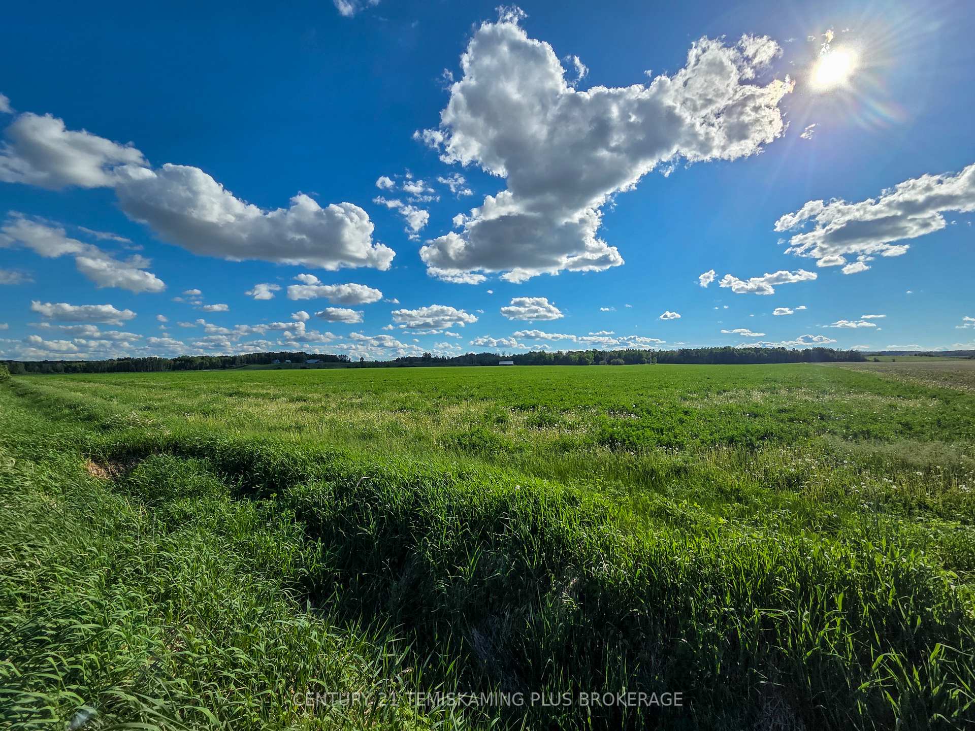 Photo 42 of 84335 Edwards Road, Timiskaming, TIM - Outside - Rural — HOMEH