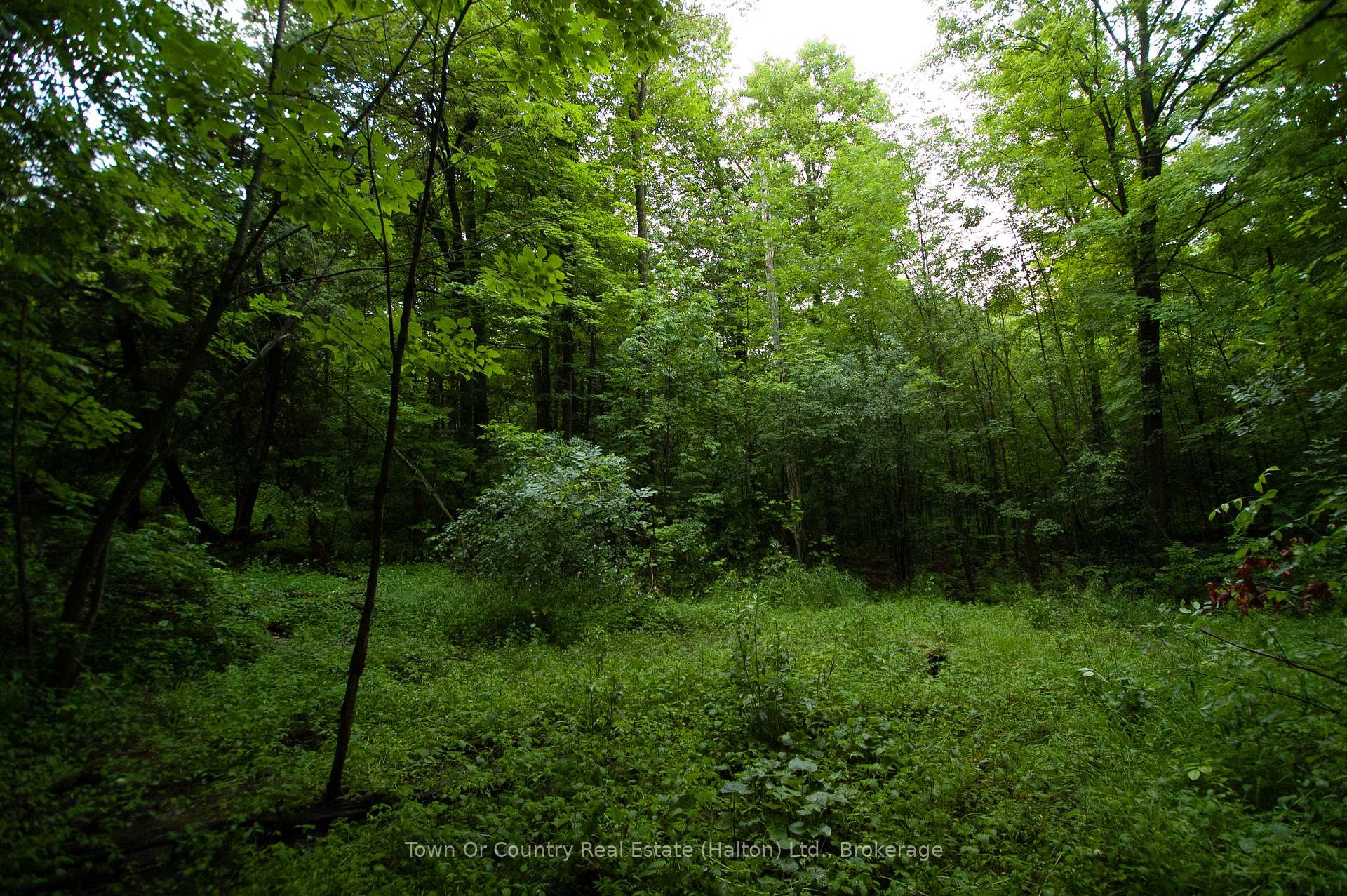 Photo 14 of Fourth Line, Halton Hills, Rural Esquesing — HOMEH