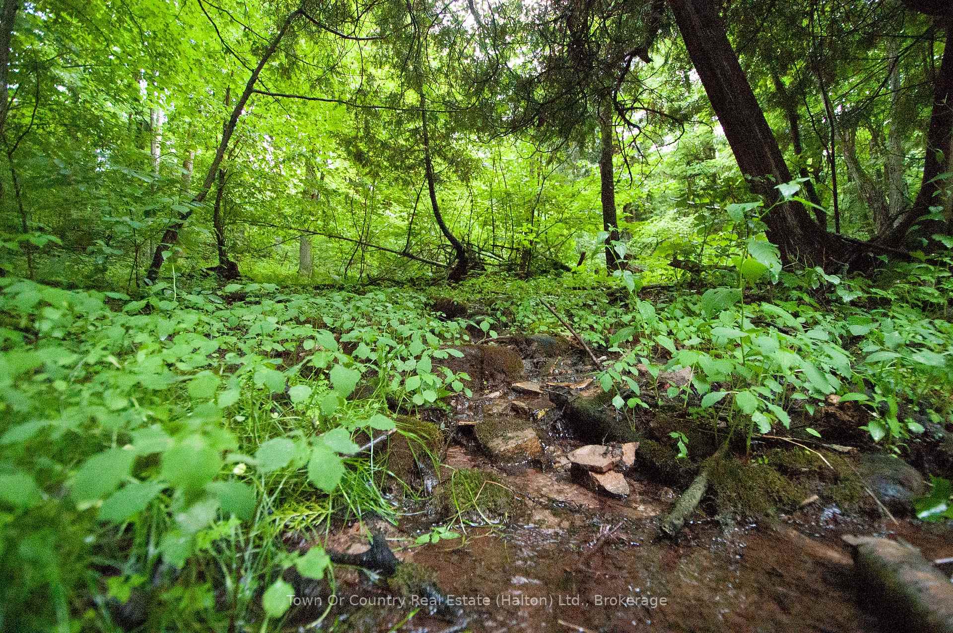 Photo 15 of Fourth Line, Halton Hills, Rural Esquesing — HOMEH