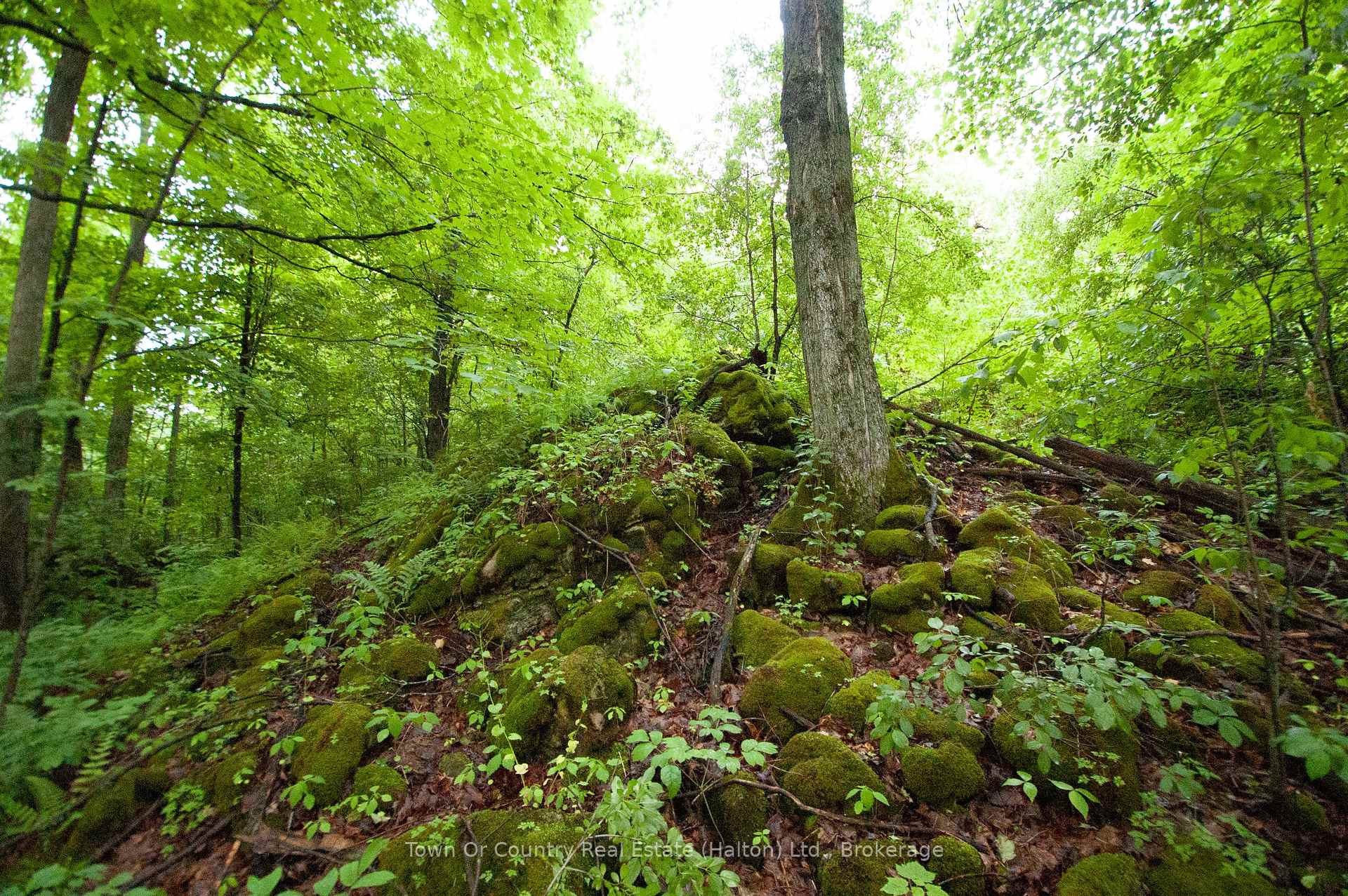 Photo 16 of Fourth Line, Halton Hills, Rural Esquesing — HOMEH