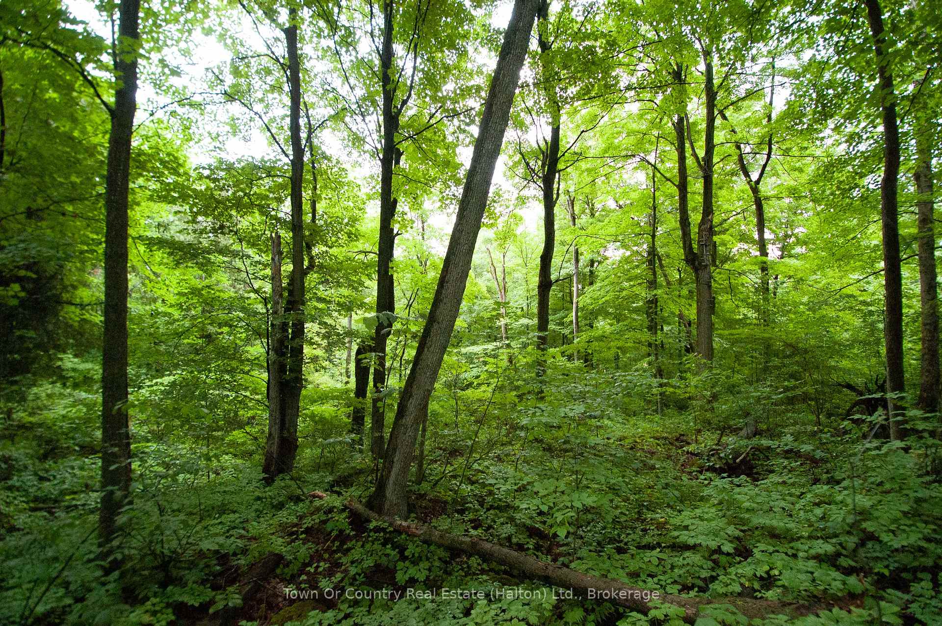 Photo 17 of Fourth Line, Halton Hills, Rural Esquesing — HOMEH