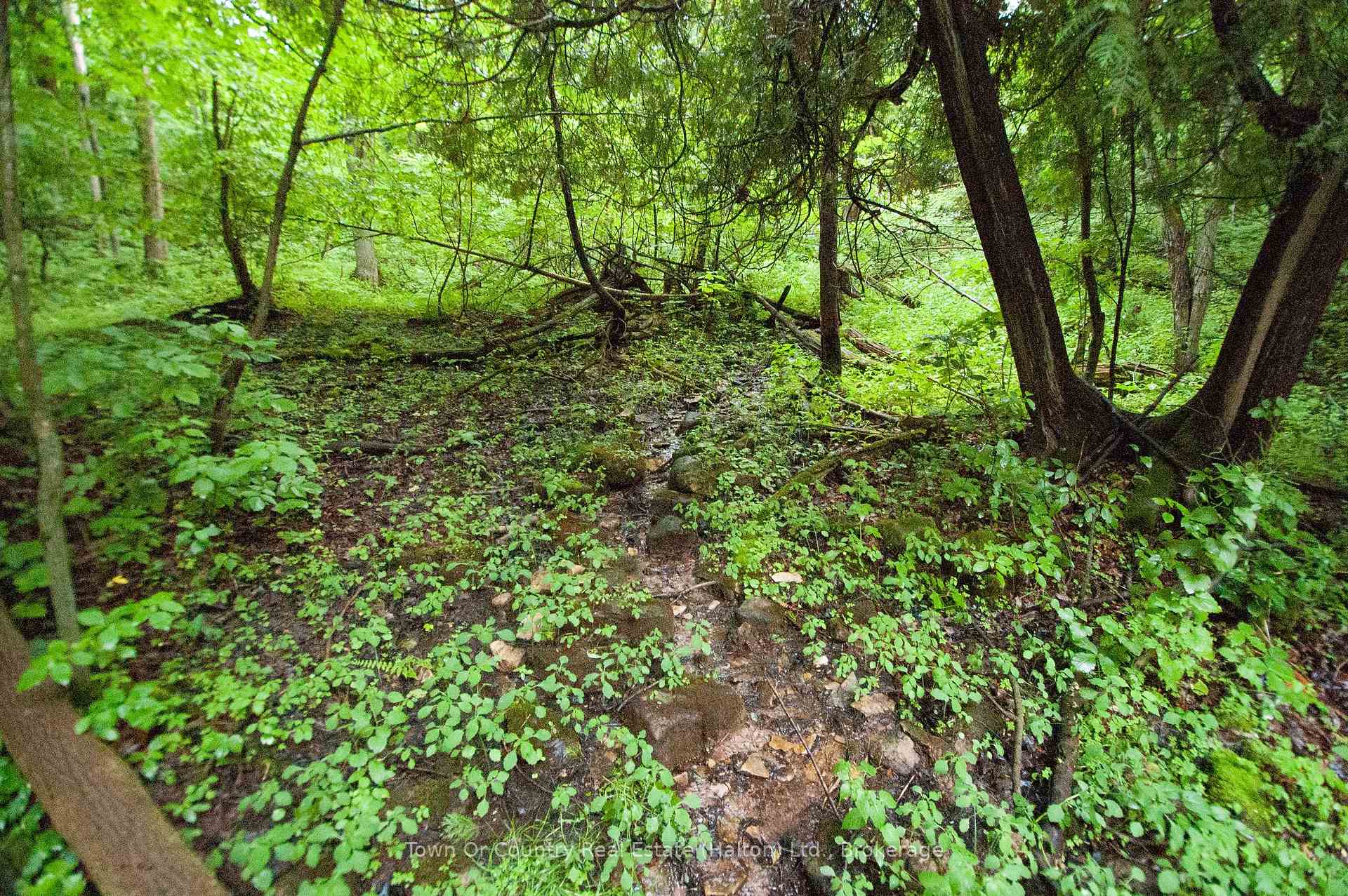 Photo 18 of Fourth Line, Halton Hills, Rural Esquesing — HOMEH