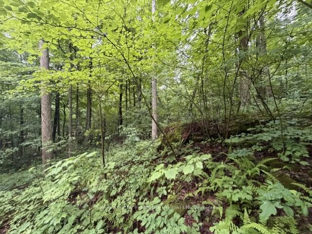 Photo 19 of Fourth Line, Halton Hills, Rural Esquesing — HOMEH