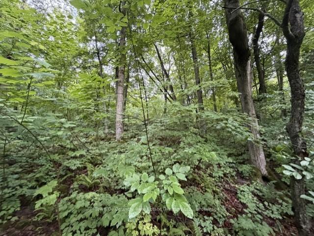 Photo 20 of Fourth Line, Halton Hills, Rural Esquesing — HOMEH