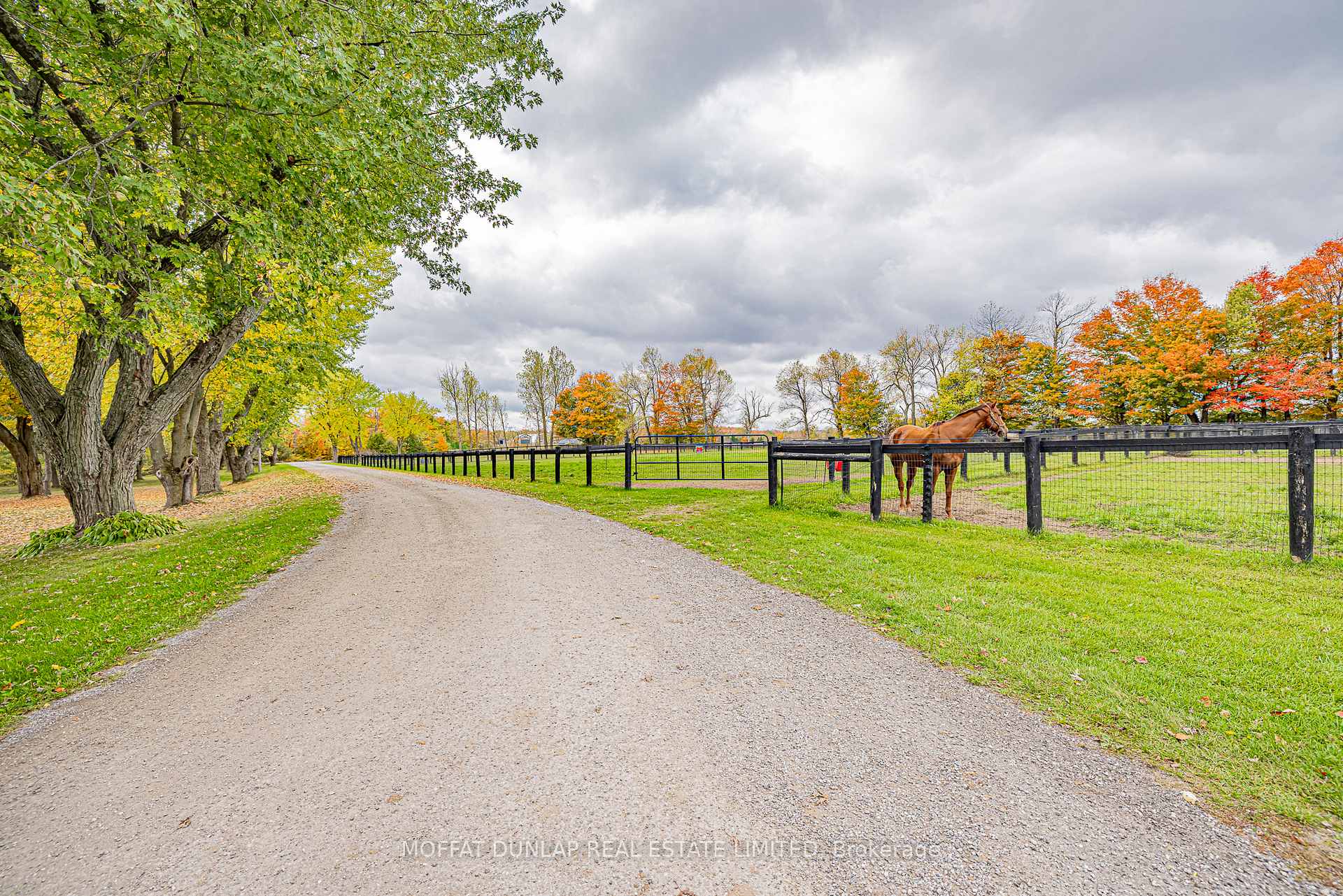 Photo 4 of 18095 Horseshoe Hill Road, Caledon, Rural Caledon — HOMEH