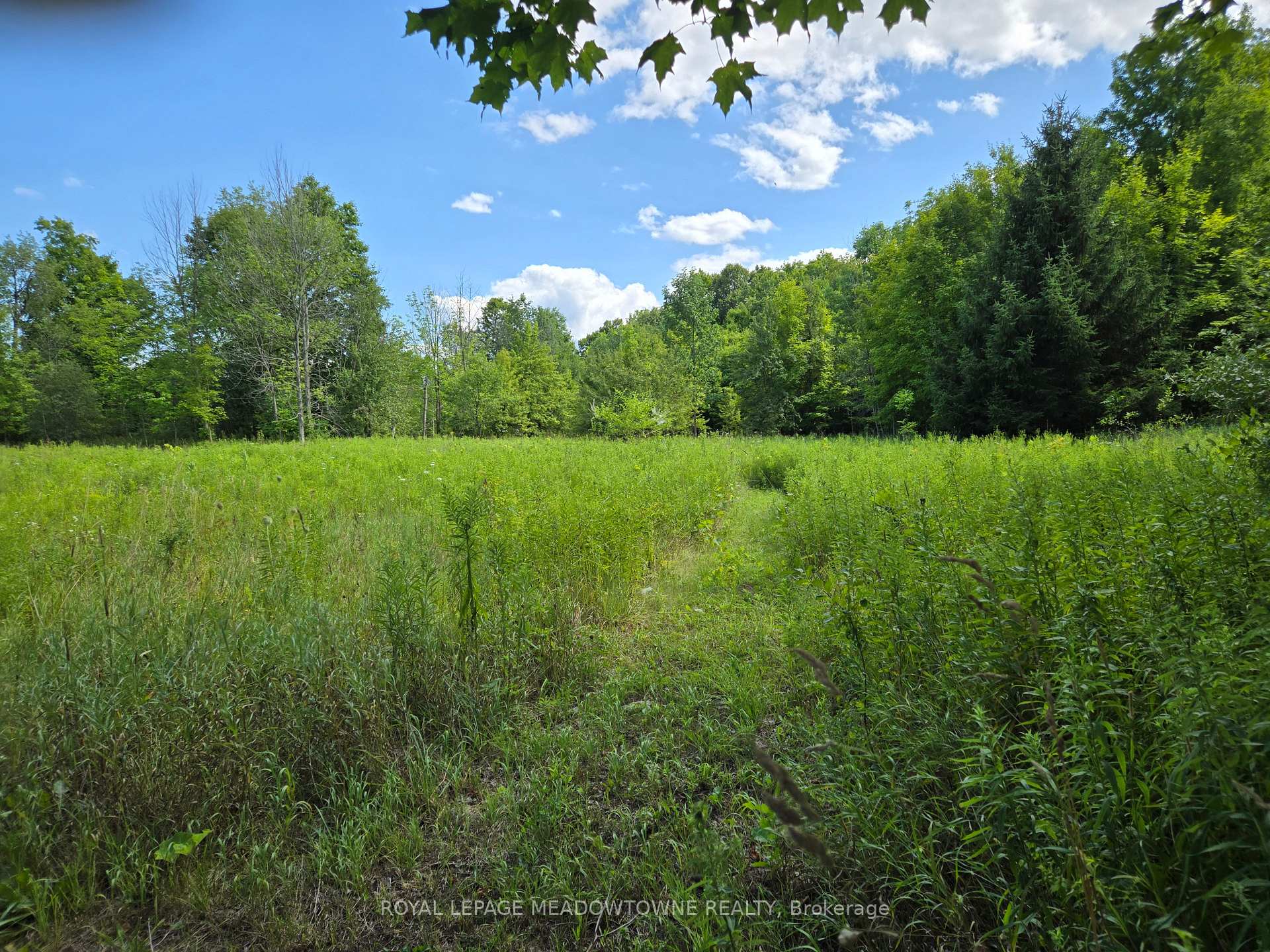 Photo 2 of 9414 First Line Nassagaweya, Milton, Rural Milton West — HOMEH