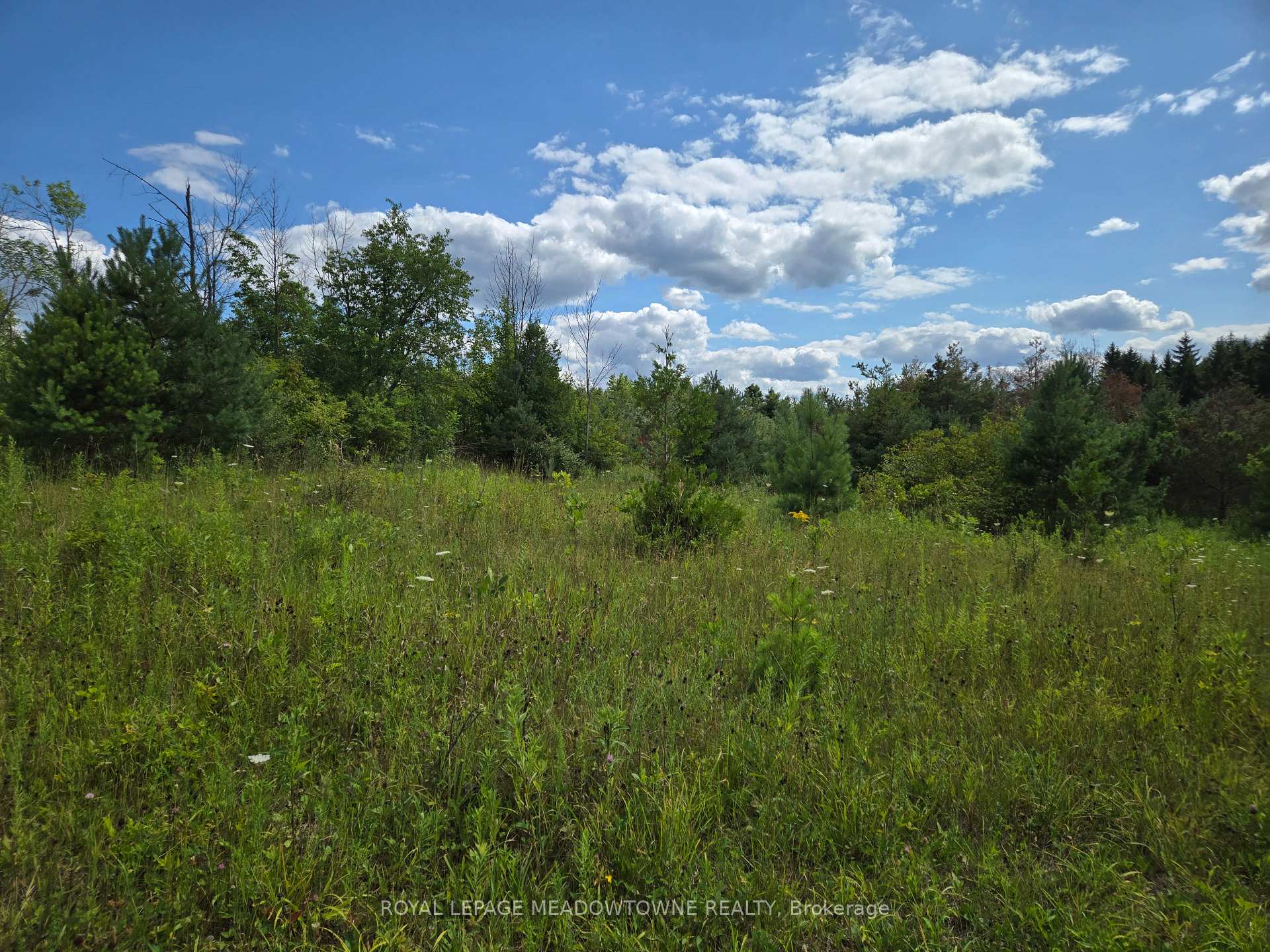 Photo 5 of 9414 First Line Nassagaweya, Milton, Rural Milton West — HOMEH