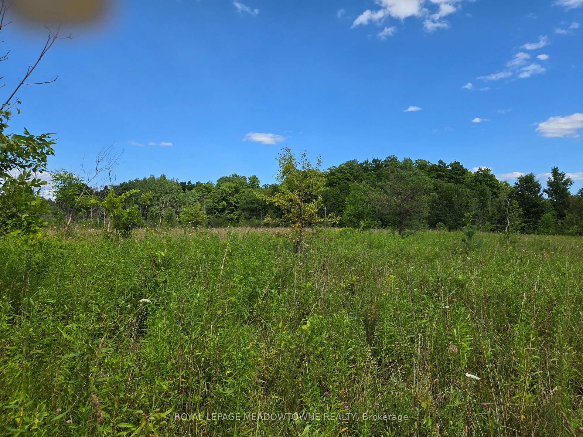 Photo 6 of 9414 First Line Nassagaweya, Milton, Rural Milton West — HOMEH