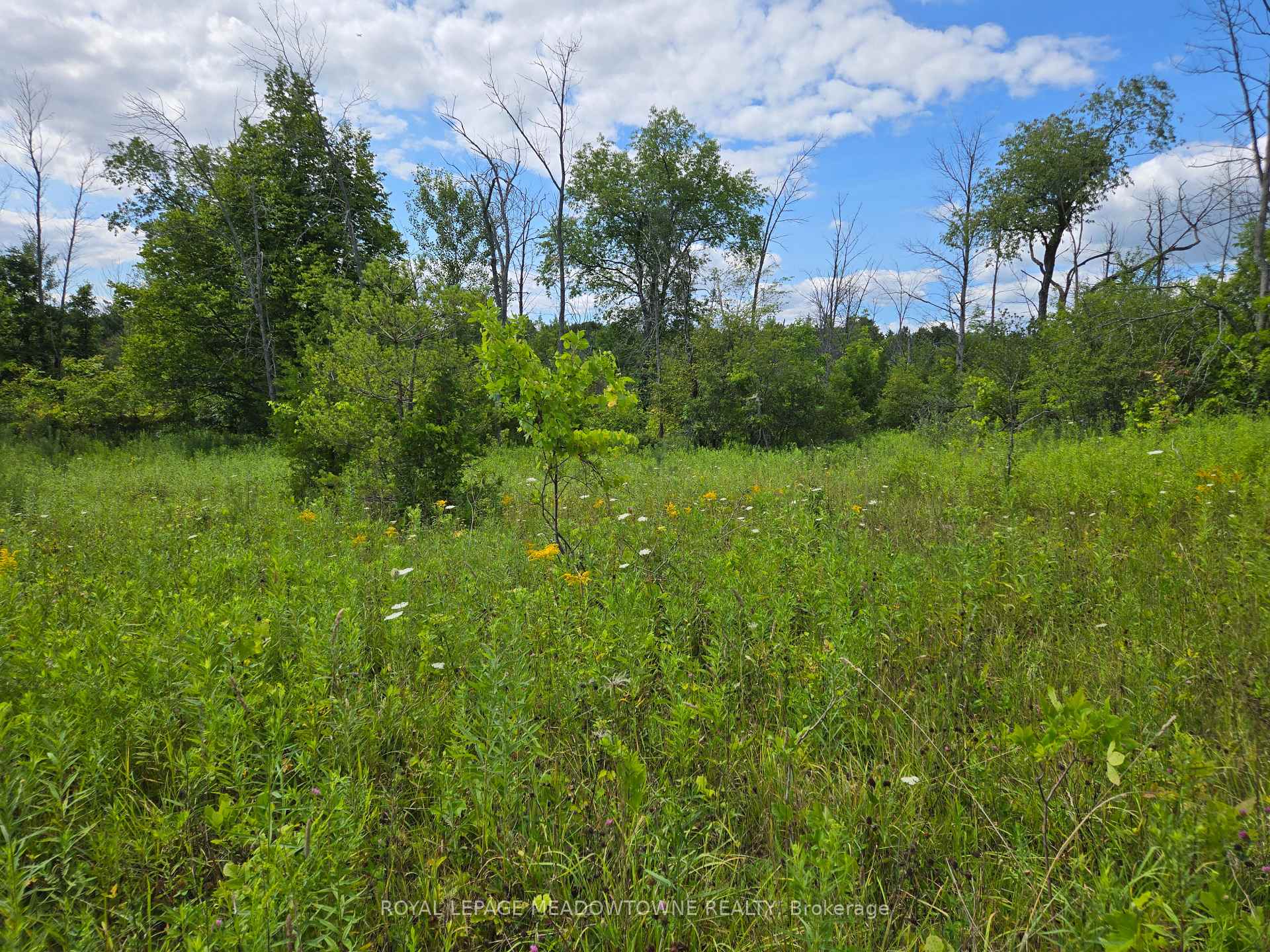 Photo 7 of 9414 First Line Nassagaweya, Milton, Rural Milton West — HOMEH