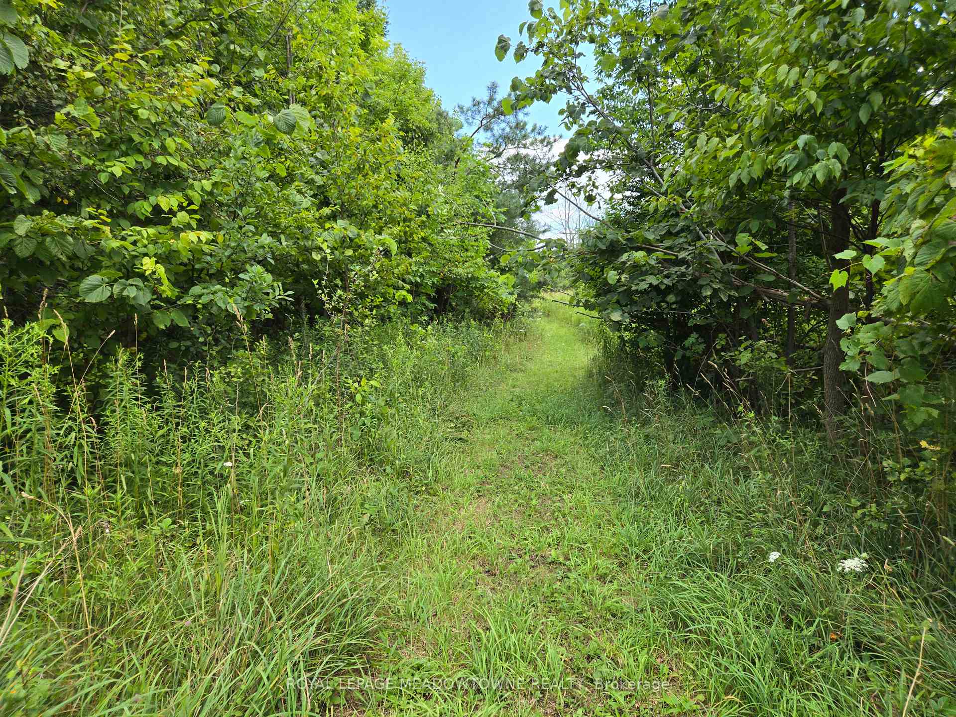 Photo 9 of 9414 First Line Nassagaweya, Milton, Rural Milton West — HOMEH