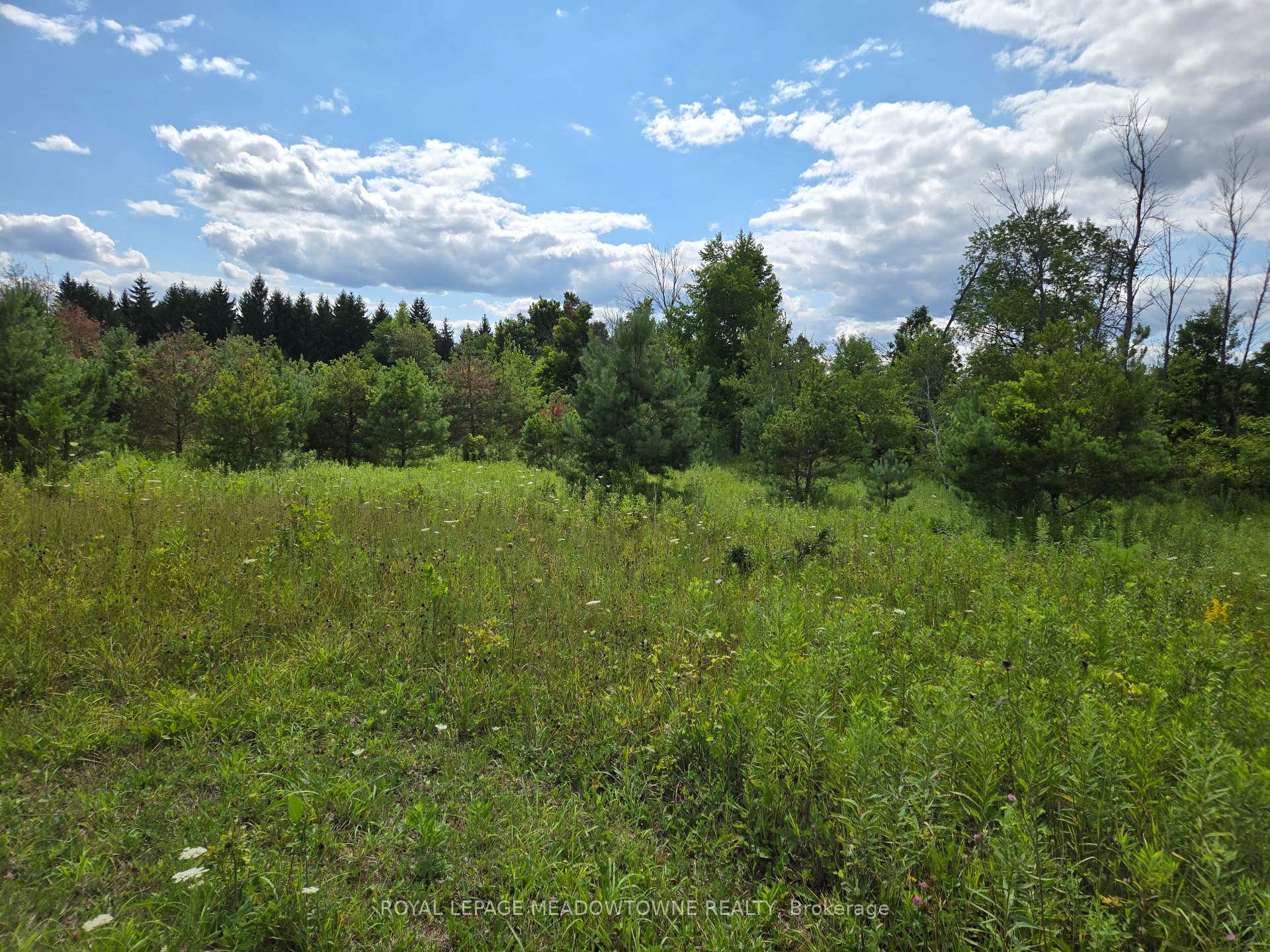 Photo 10 of 9414 First Line Nassagaweya, Milton, Rural Milton West — HOMEH
