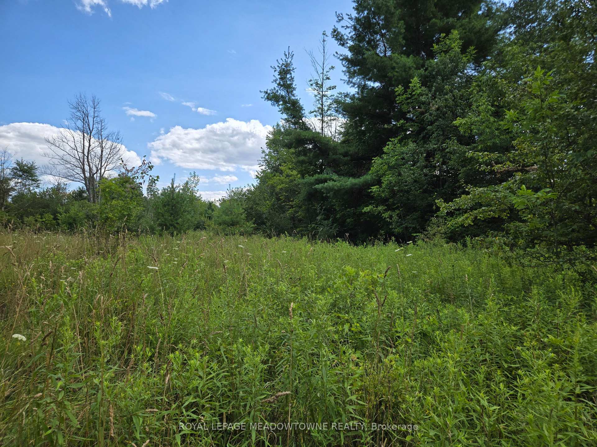 Photo 28 of 9414 First Line Nassagaweya, Milton, Rural Milton West — HOMEH