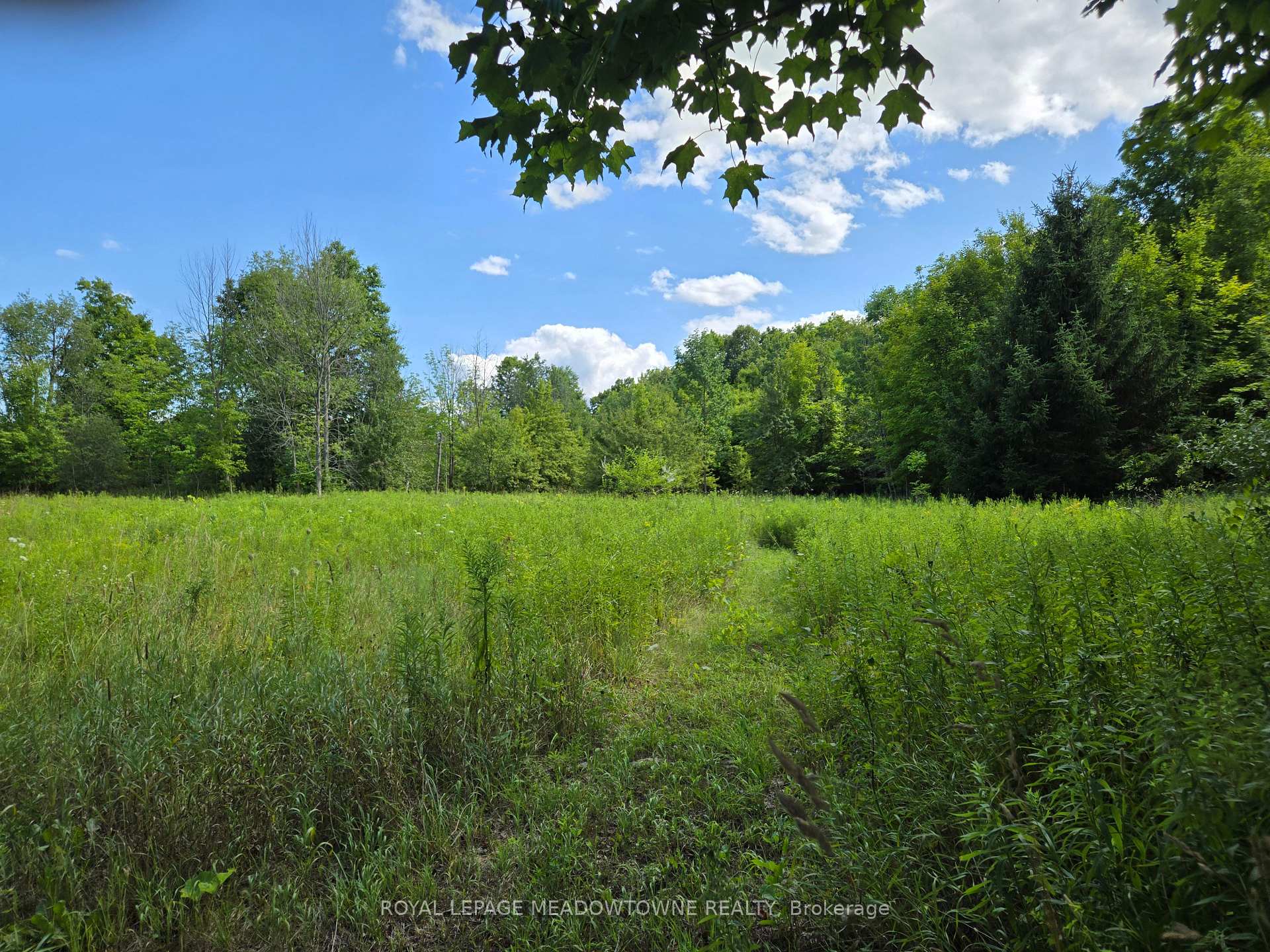 Photo 31 of 9414 First Line Nassagaweya, Milton, Rural Milton West — HOMEH