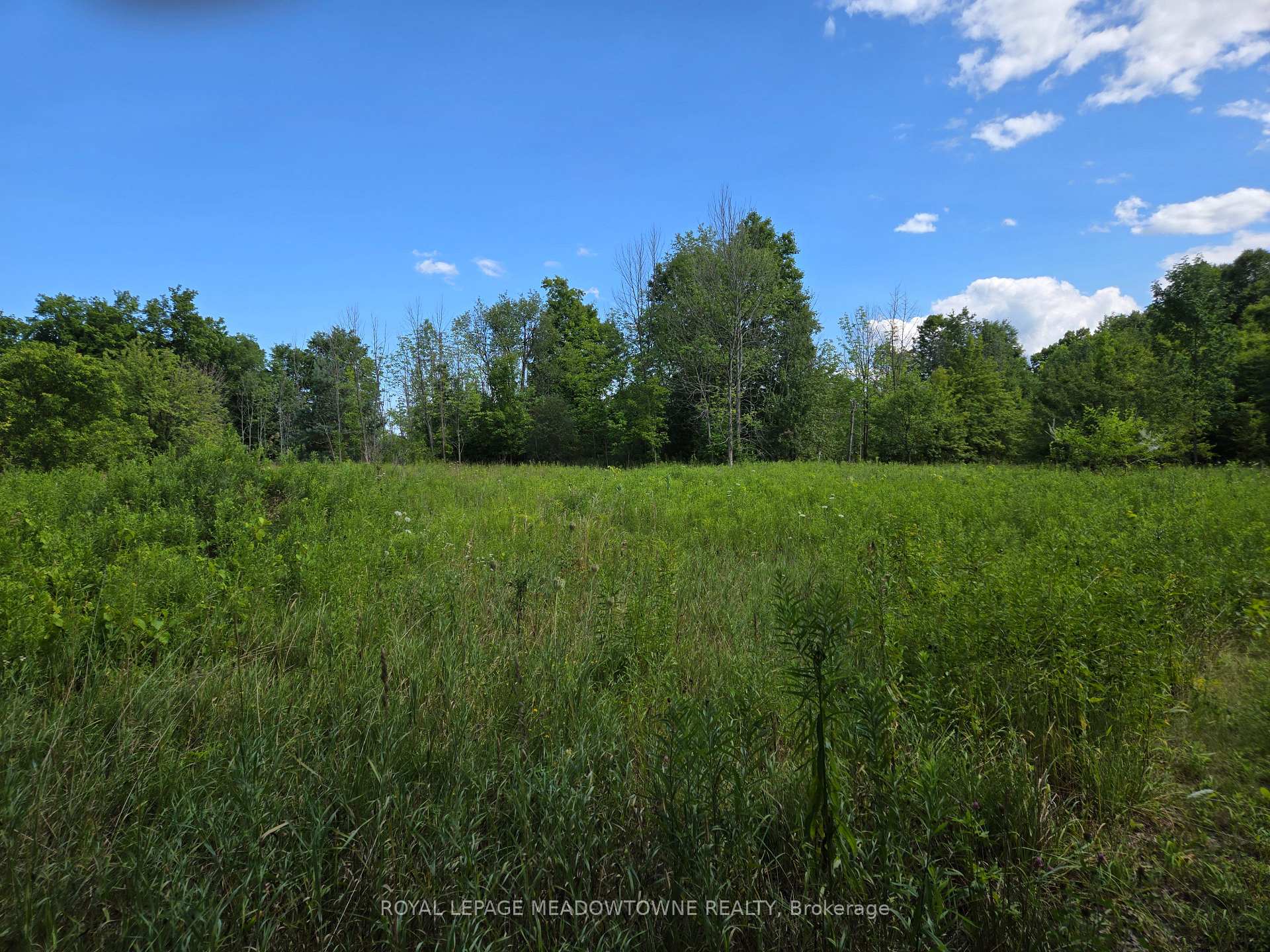 Photo 32 of 9414 First Line Nassagaweya, Milton, Rural Milton West — HOMEH