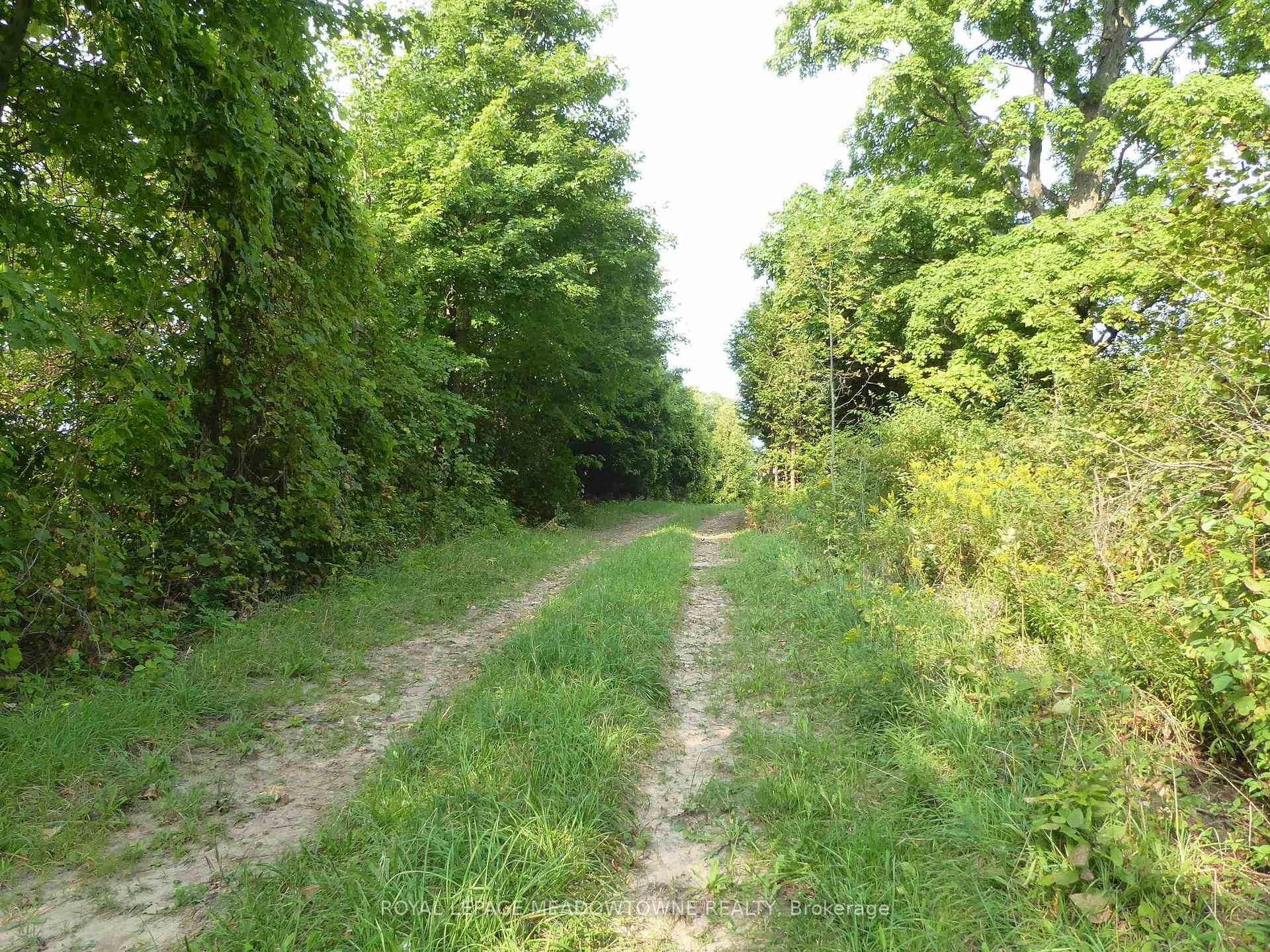 Photo 4 of 11080 First Line Nassagaweya, Milton, Rural Milton West — HOMEH