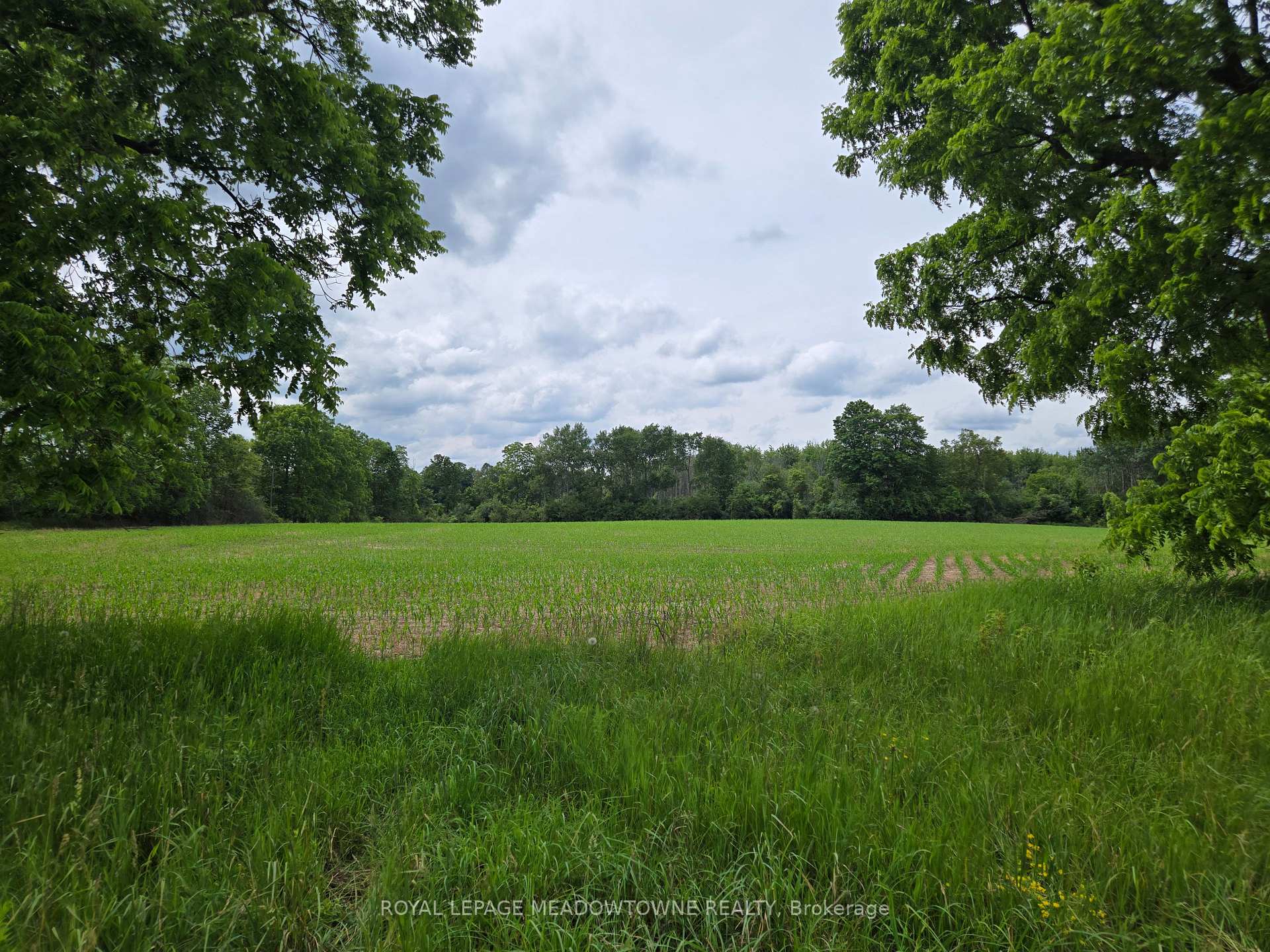Photo 9 of 11080 First Line Nassagaweya, Milton, Rural Milton West — HOMEH