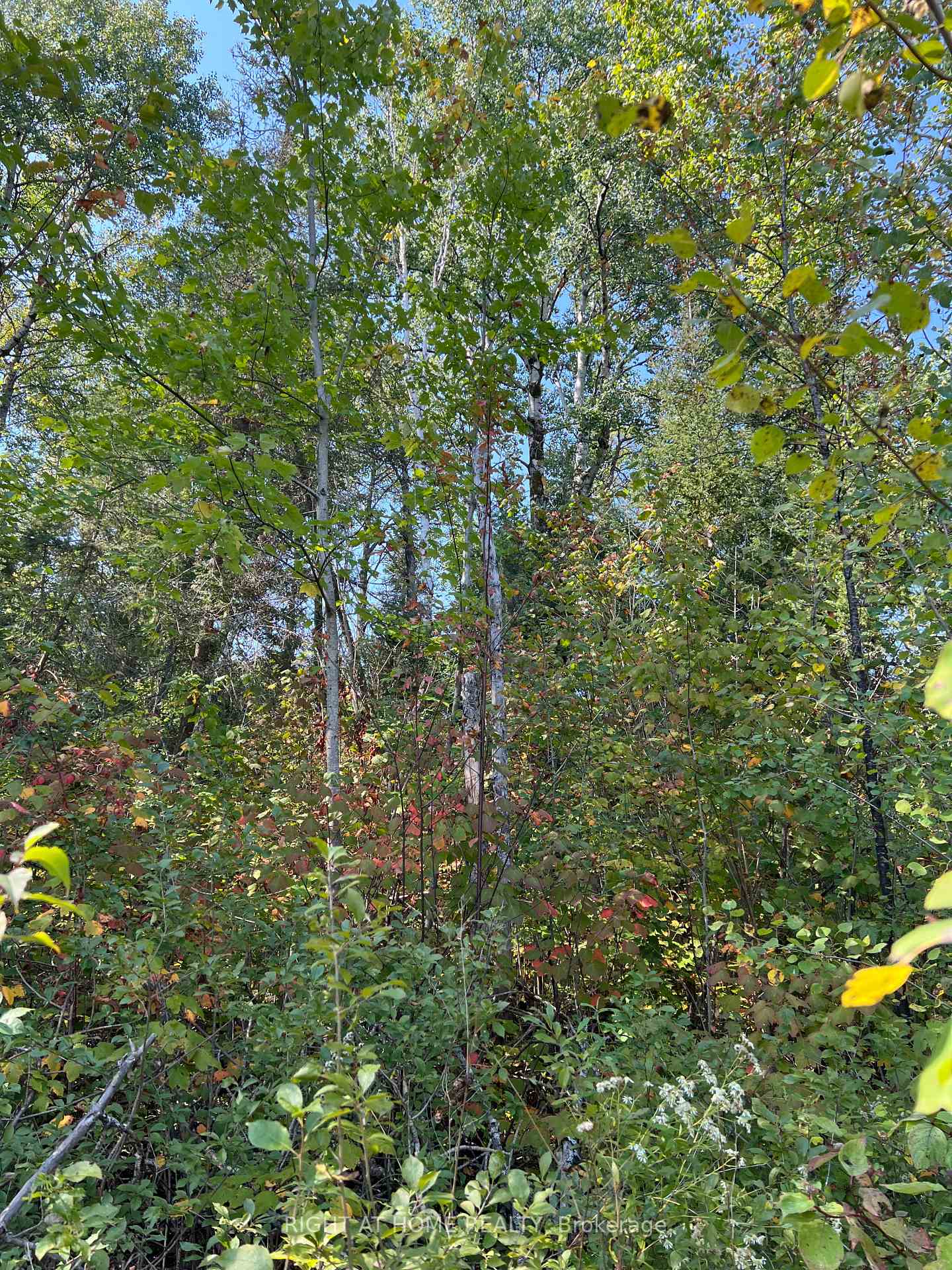 Photo 5 of Laplage Road, West Nipissing, Verner — HOMEH
