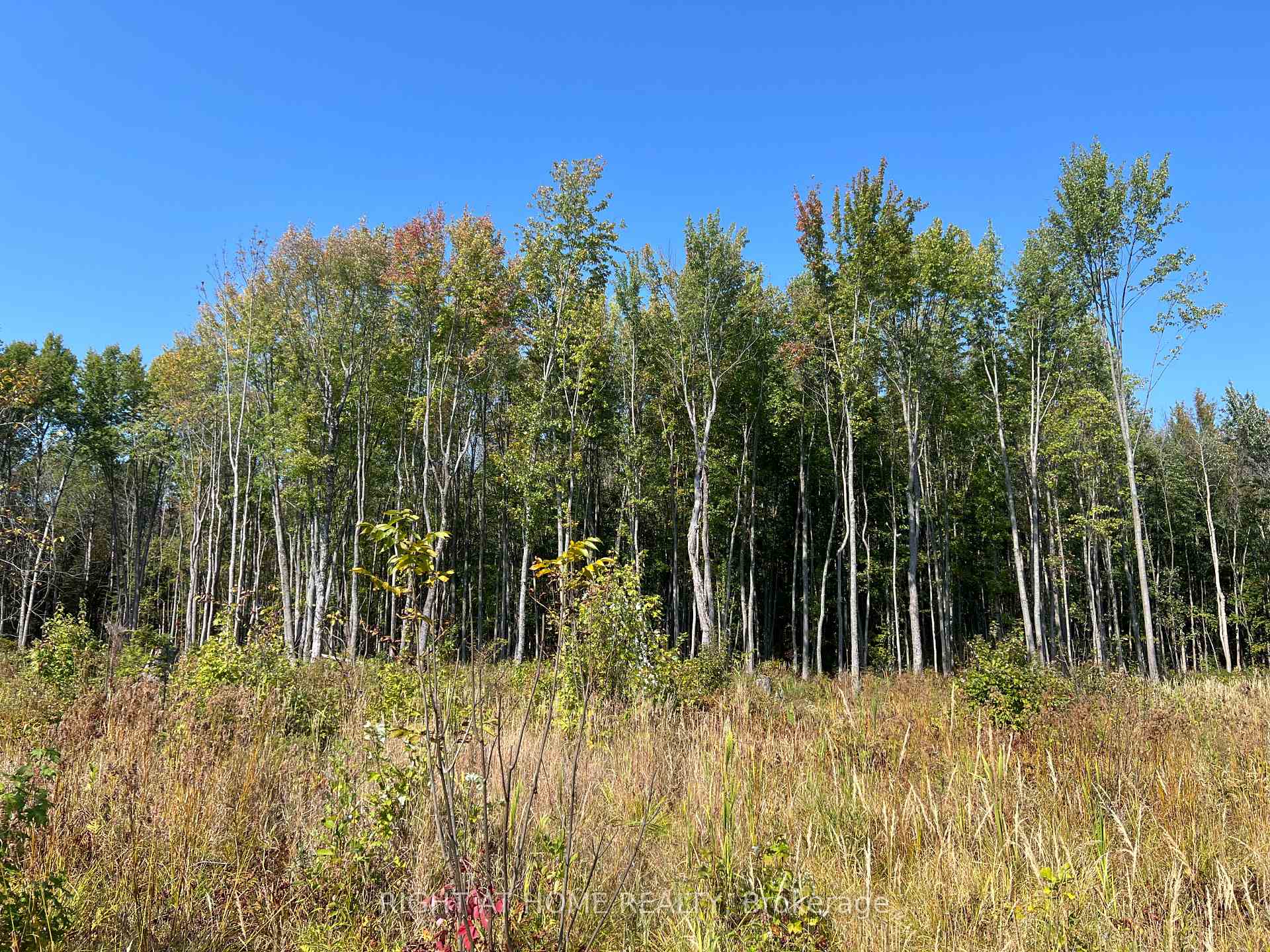 Photo 7 of Laplage Road, West Nipissing, Verner — HOMEH