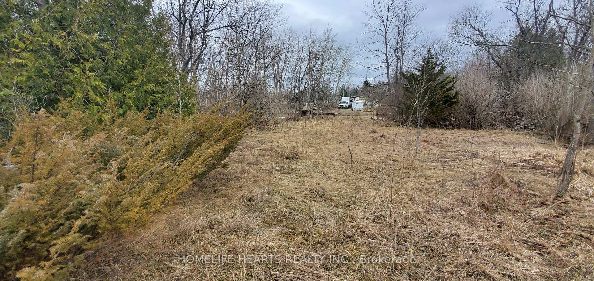 Photo 7 of 25 Gream Street, Centre Hastings — HOMEH
