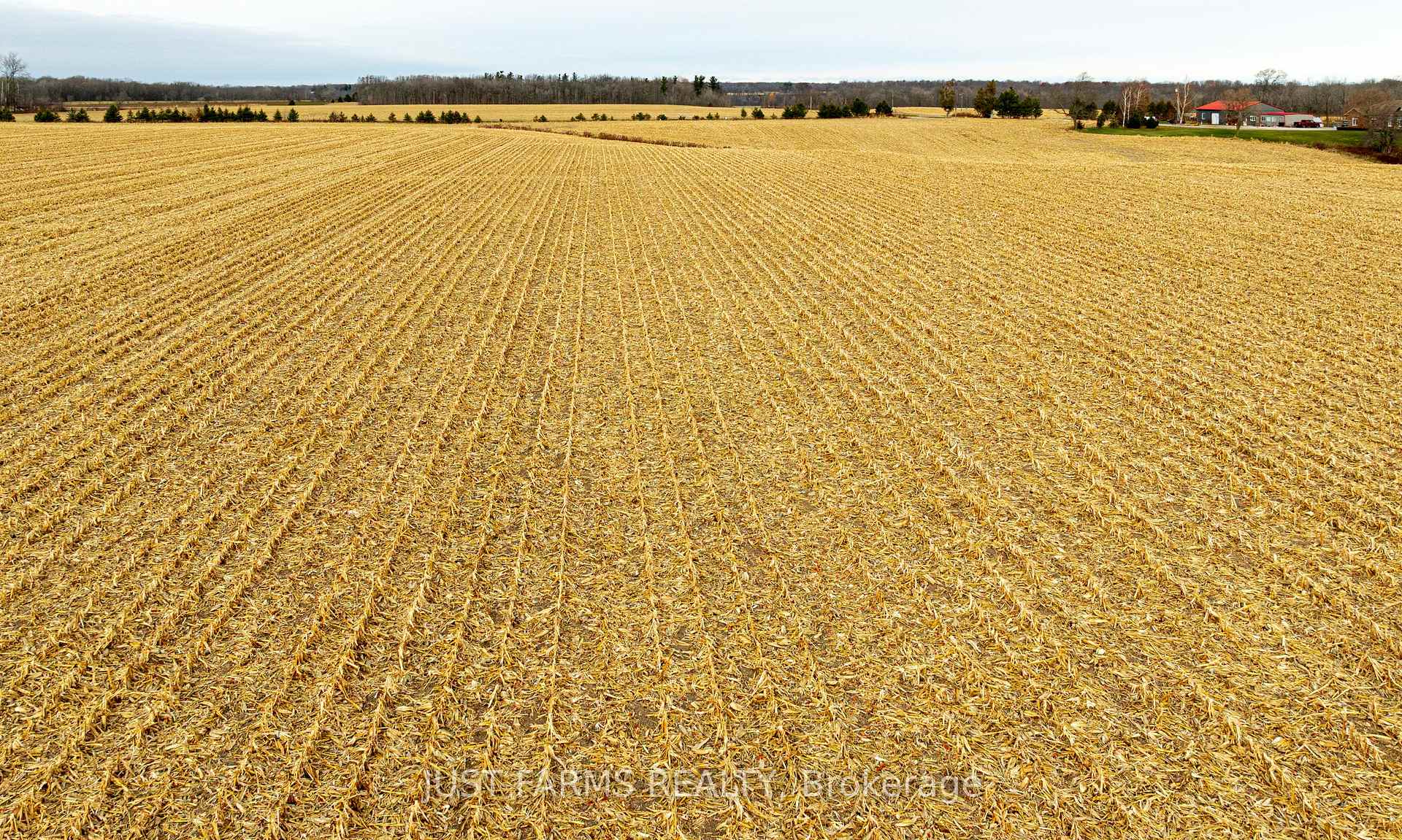 Photo 7 of 23849 Gibb Line, West Elgin, Rural West Elgin — HOMEH