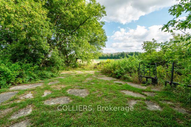 Photo 9 of 238 Forler Street, West Grey — HOMEH