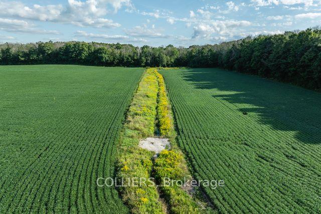 Photo 22 of 238 Forler Street, West Grey — HOMEH