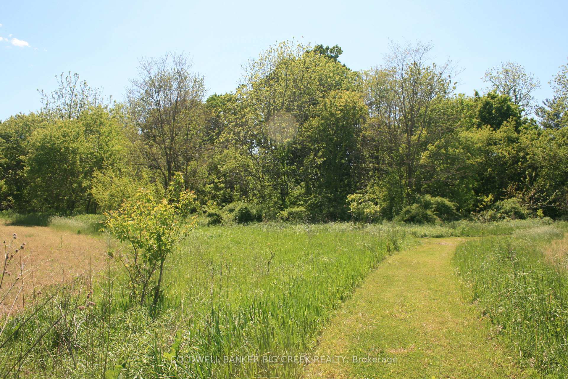 Photo 5 of 6349A Plank Road, Bayham, Vienna — HOMEH