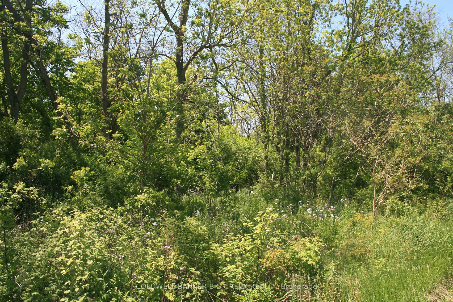 Photo 8 of 6349A Plank Road, Bayham, Vienna — HOMEH
