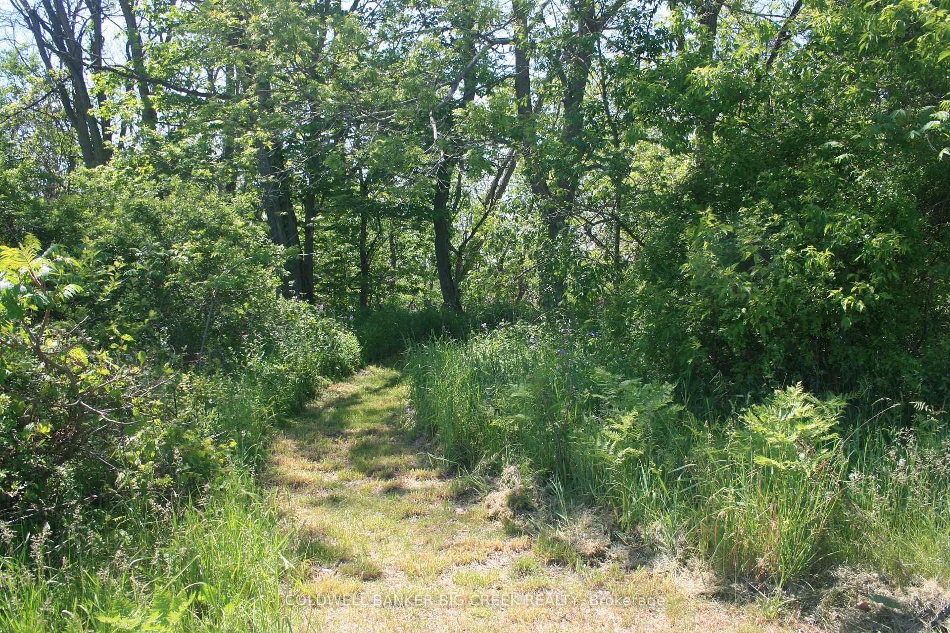 Photo 9 of 6349A Plank Road, Bayham, Vienna — HOMEH