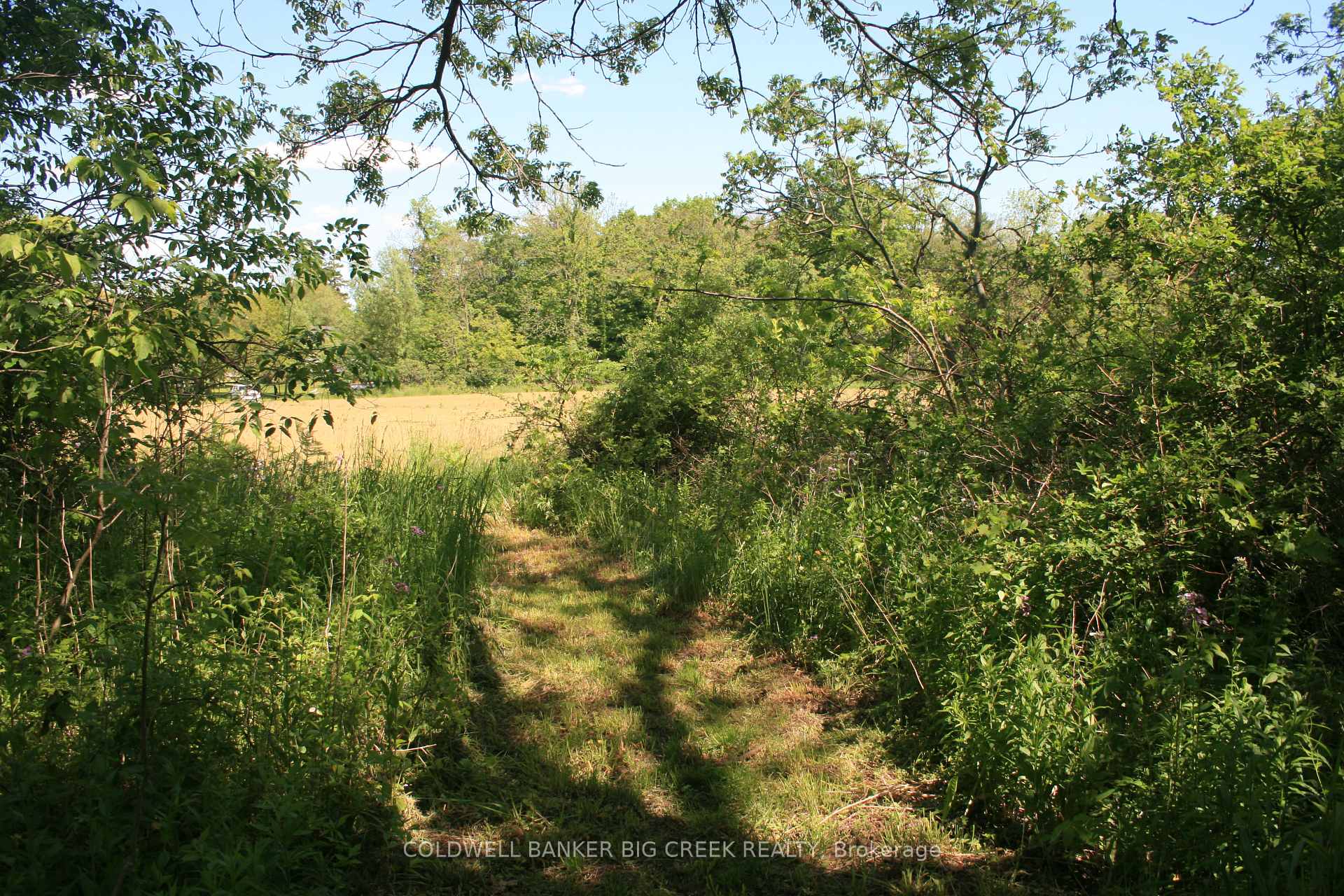 Photo 18 of 6349A Plank Road, Bayham, Vienna — HOMEH