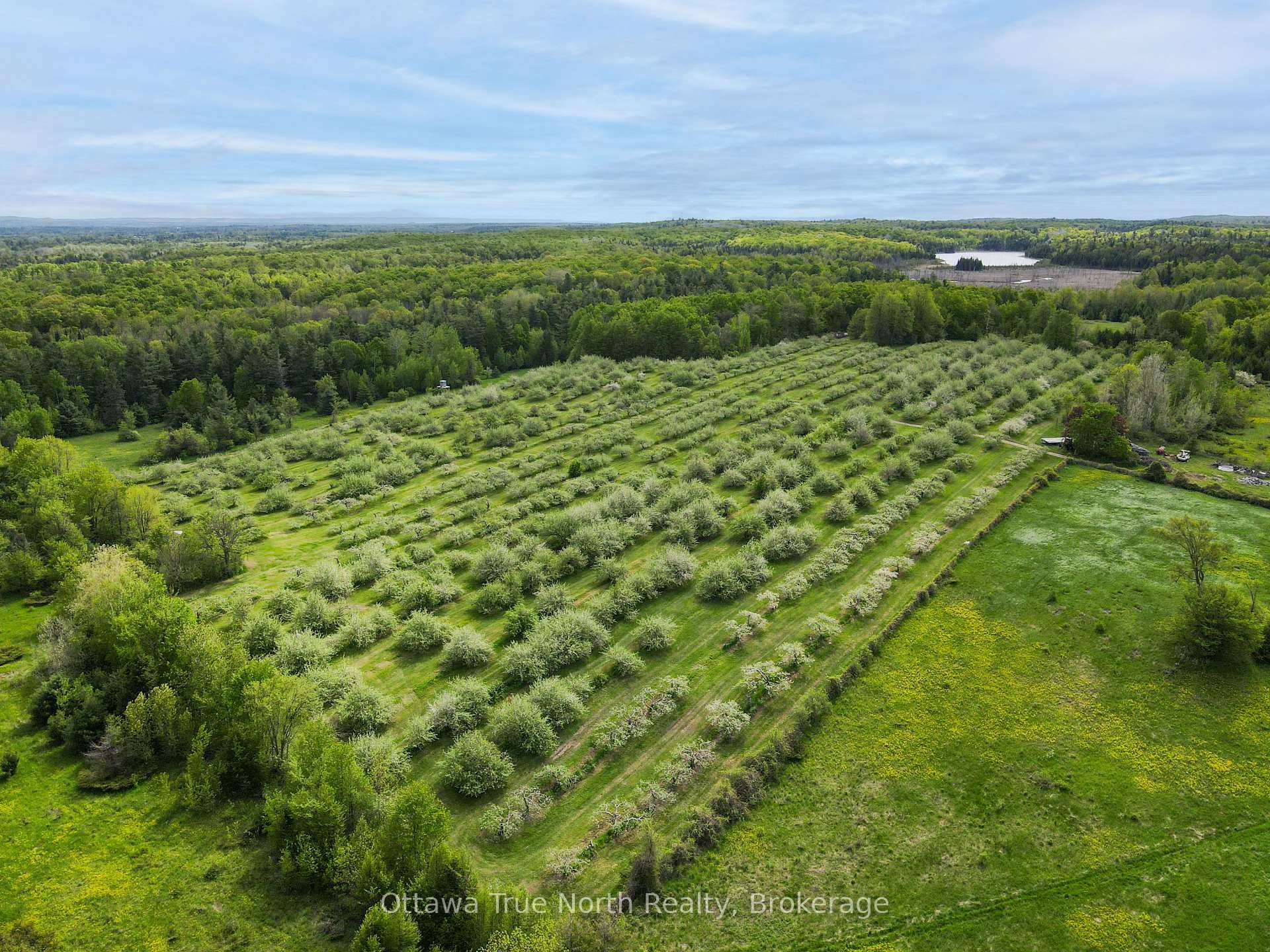 Photo 41 of 3376 Burnstown Road, Horton, Horton Twp — HOMEH