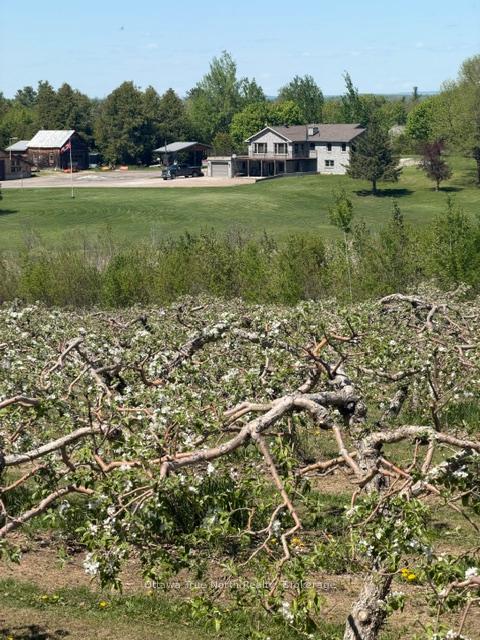 Photo 50 of 3376 Burnstown Road, Horton, Horton Twp — HOMEH
