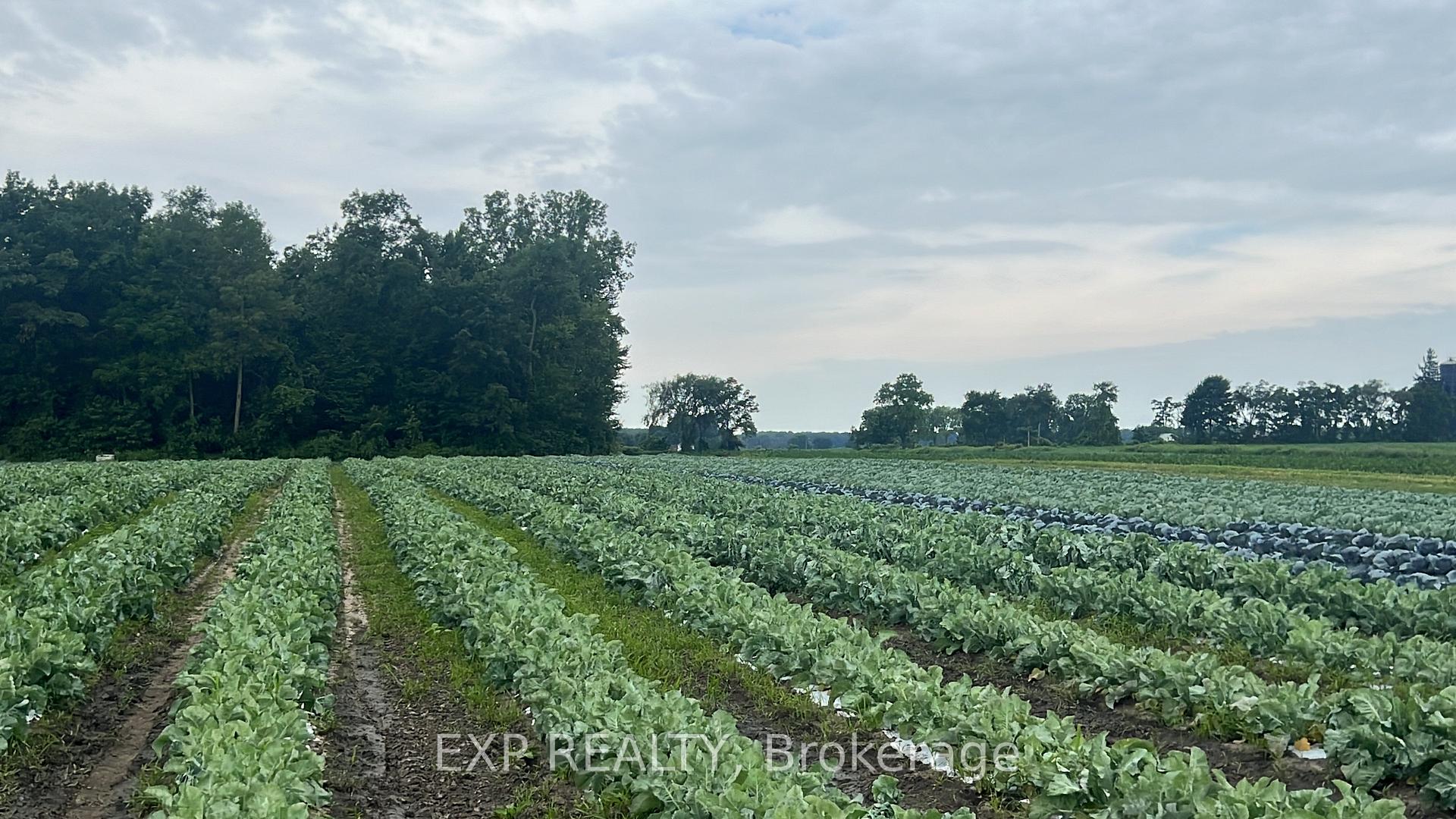 Photo 1 of 11 Tucker Street, Southwest Middlesex, Rural Southwest Middlesex — HOMEH