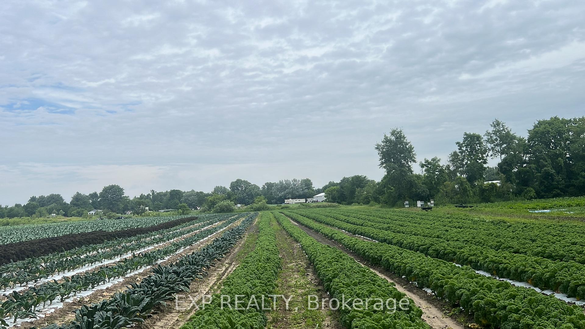 Photo 2 of 11 Tucker Street, Southwest Middlesex, Rural Southwest Middlesex — HOMEH