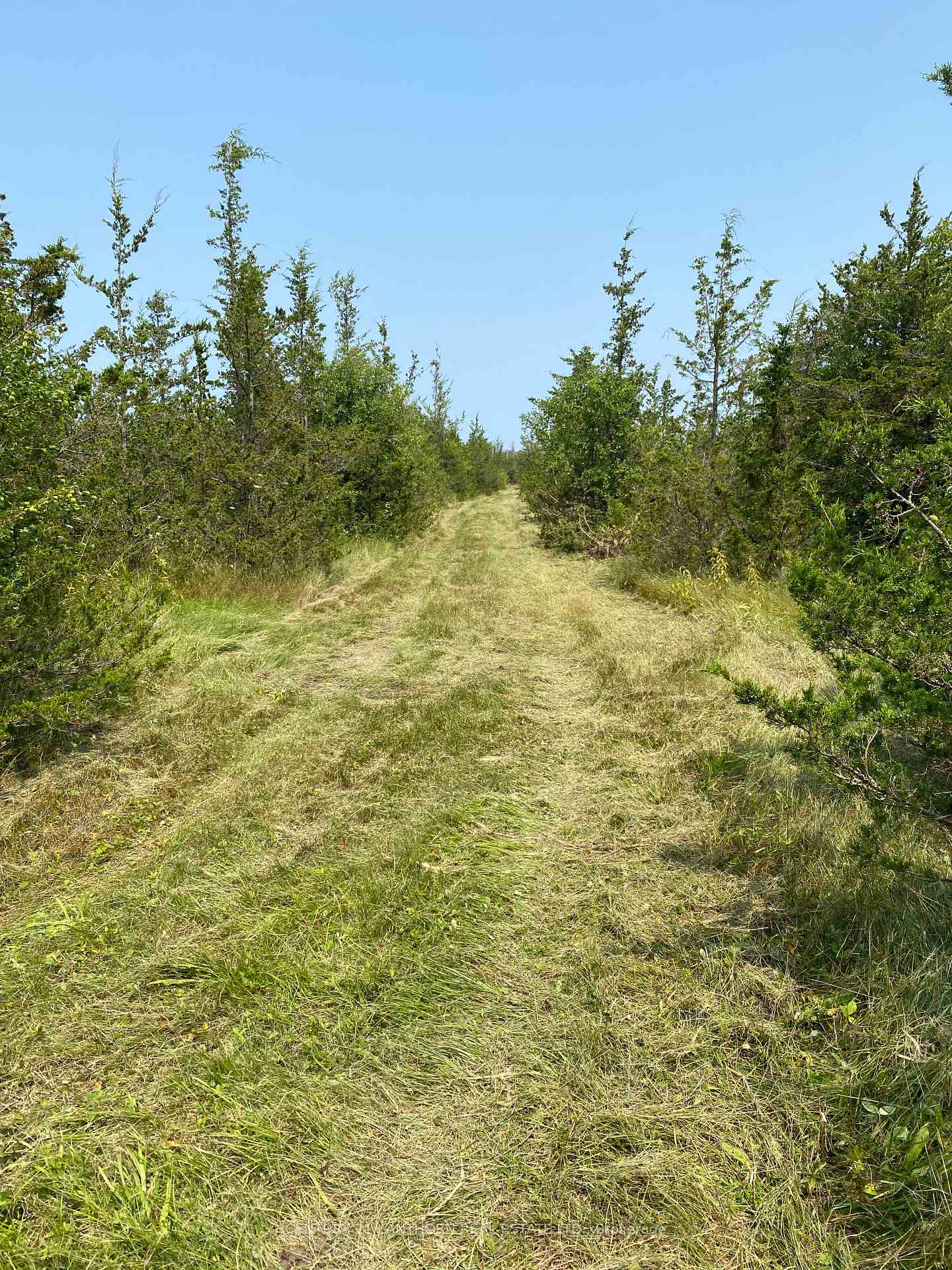 Photo 33 of 1677 County 8 Road, Prince Edward County, North Marysburg Ward — HOMEH