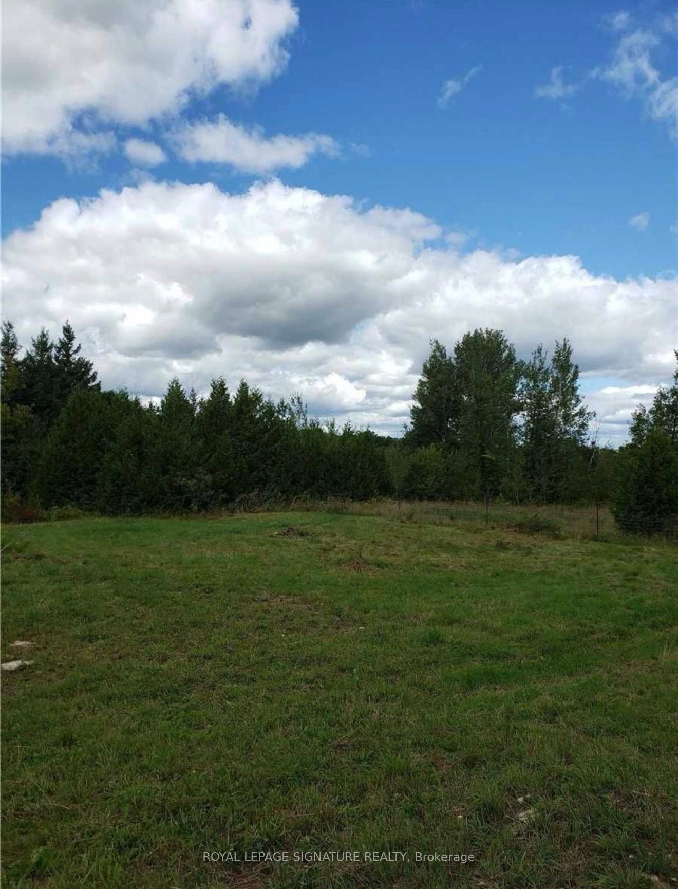 Photo 24 of 9 Talbot River Road, Kawartha Lakes, Carden — HOMEH