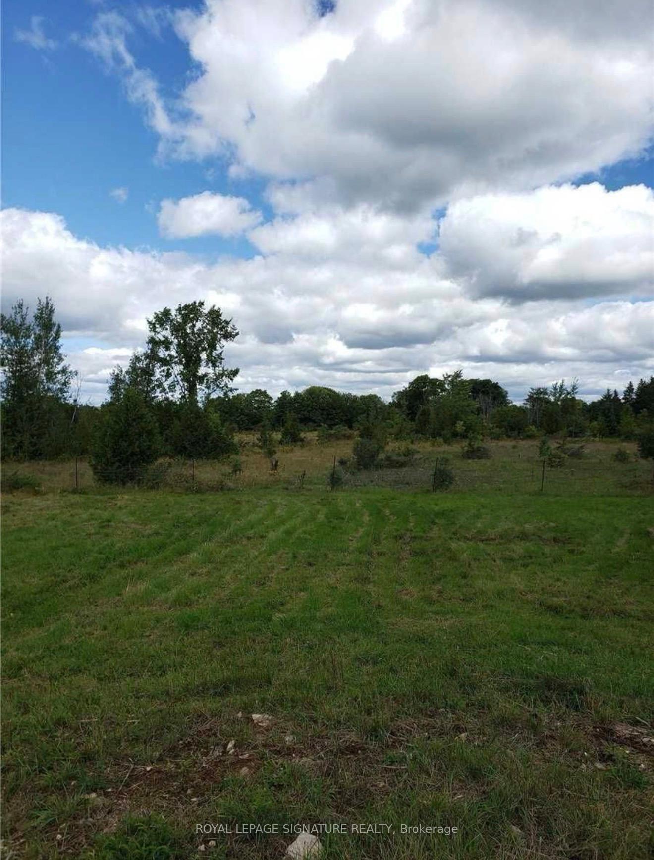 Photo 25 of 9 Talbot River Road, Kawartha Lakes, Carden — HOMEH