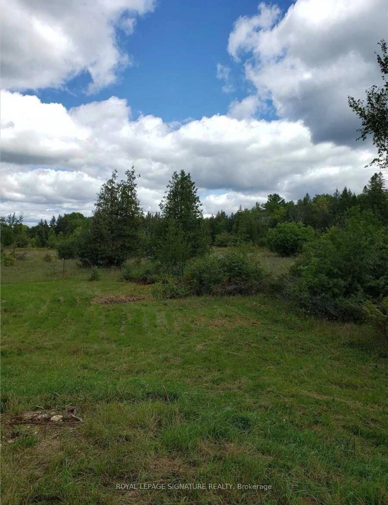 Photo 27 of 9 Talbot River Road, Kawartha Lakes, Carden — HOMEH