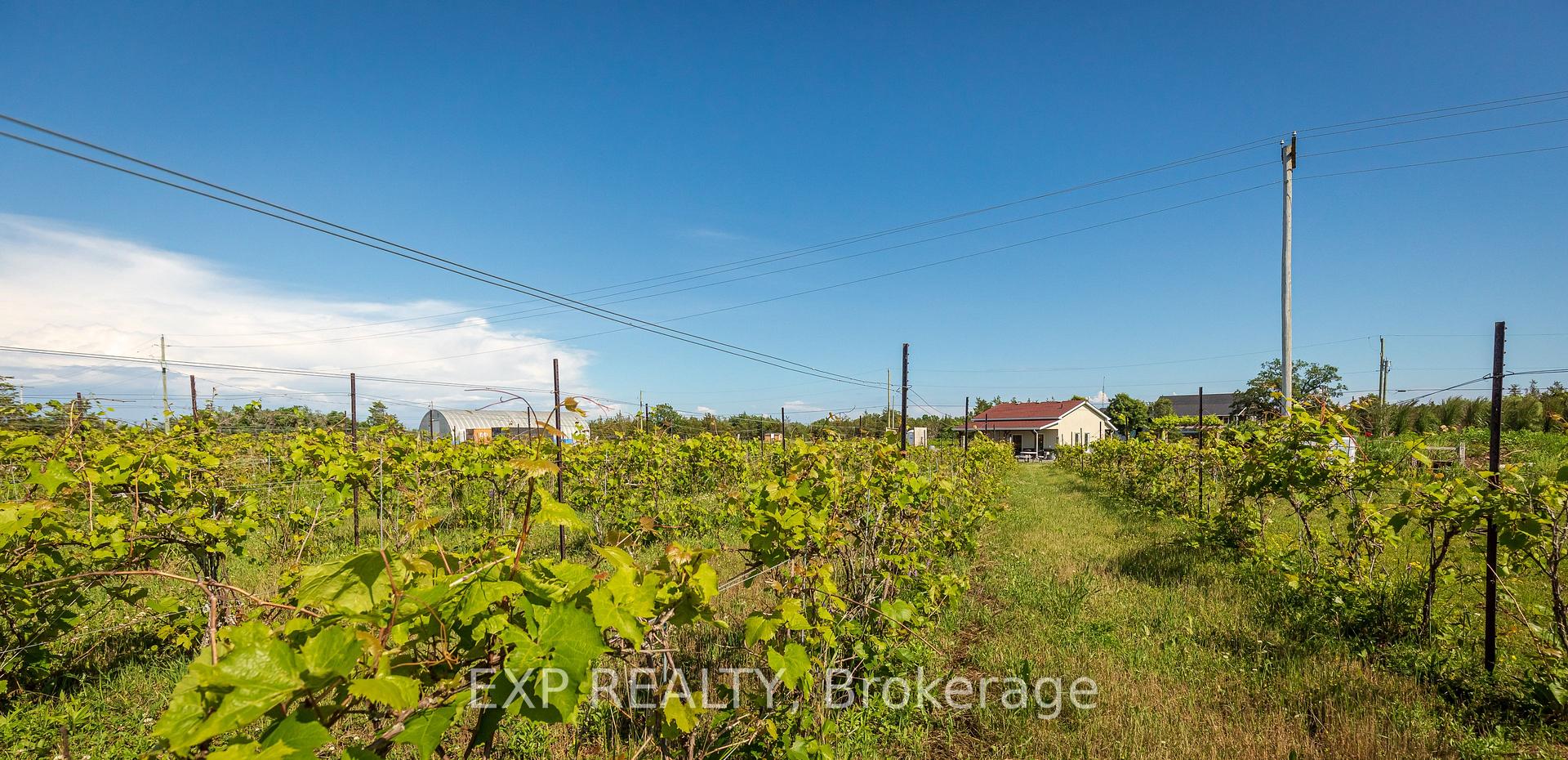 Photo 35 of 3609 County Road 8, Prince Edward County, North Marysburg Ward — HOMEH