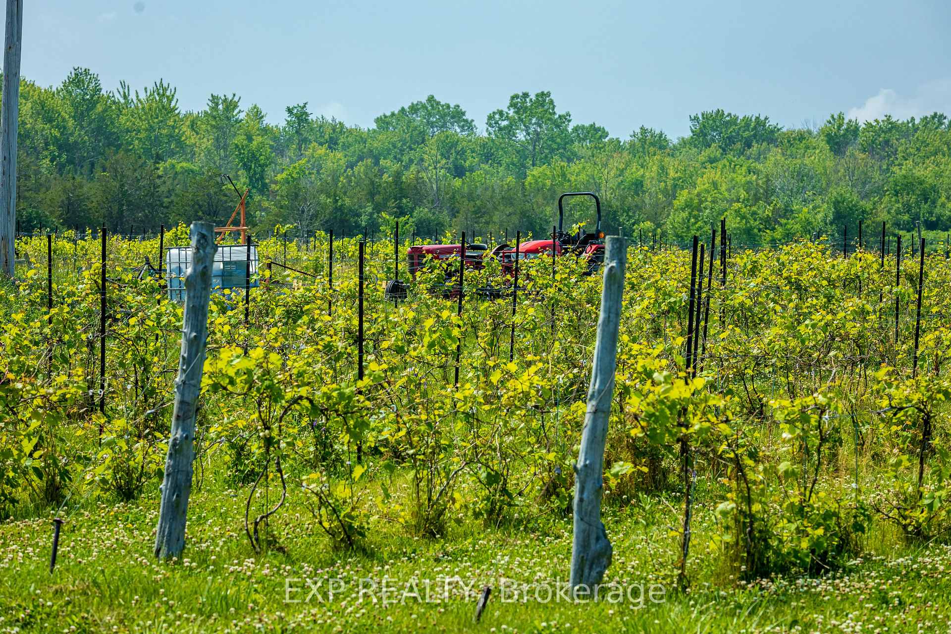 Photo 37 of 3609 County Road 8, Prince Edward County, North Marysburg Ward — HOMEH