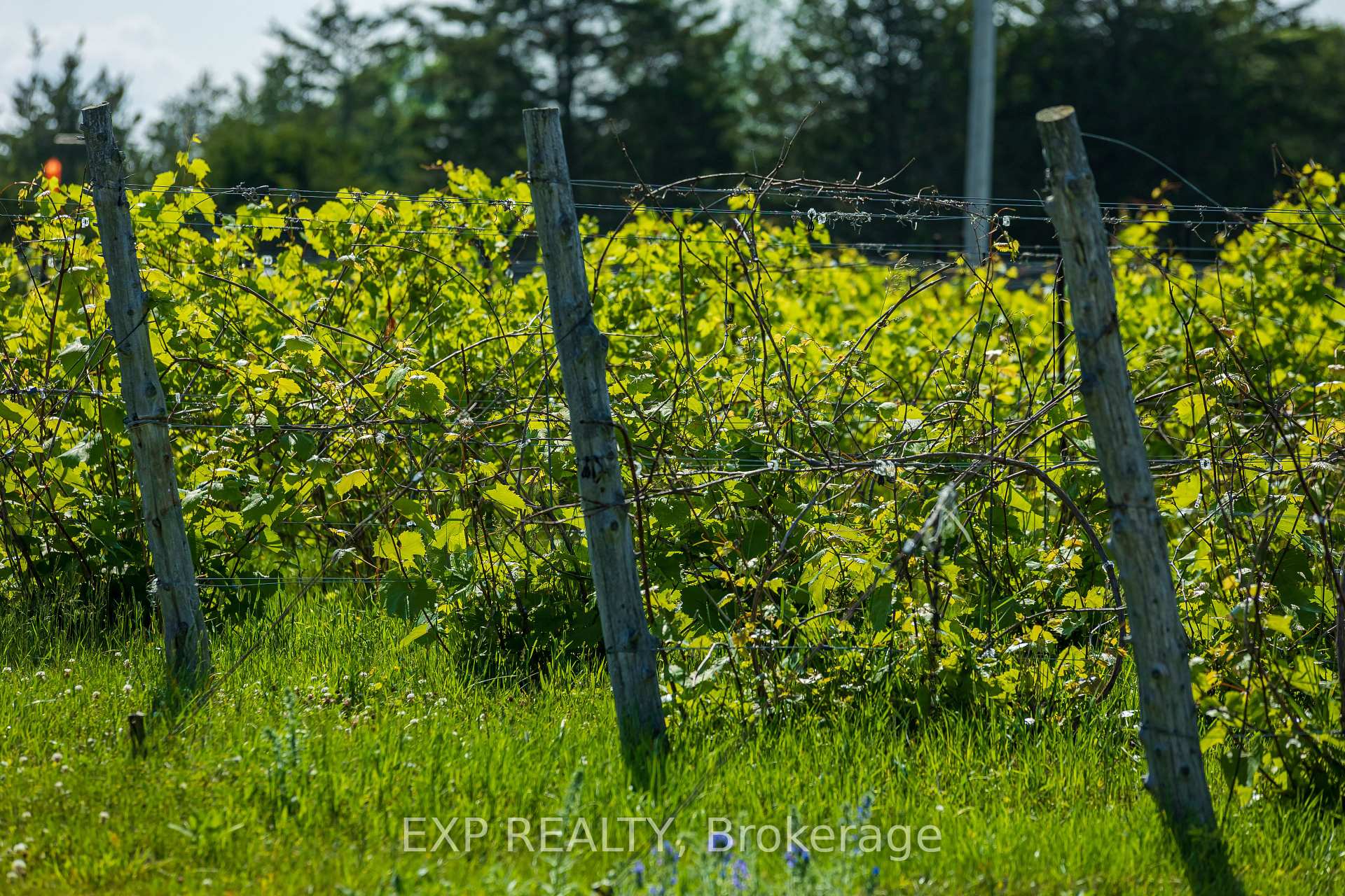 Photo 38 of 3609 County Road 8, Prince Edward County, North Marysburg Ward — HOMEH