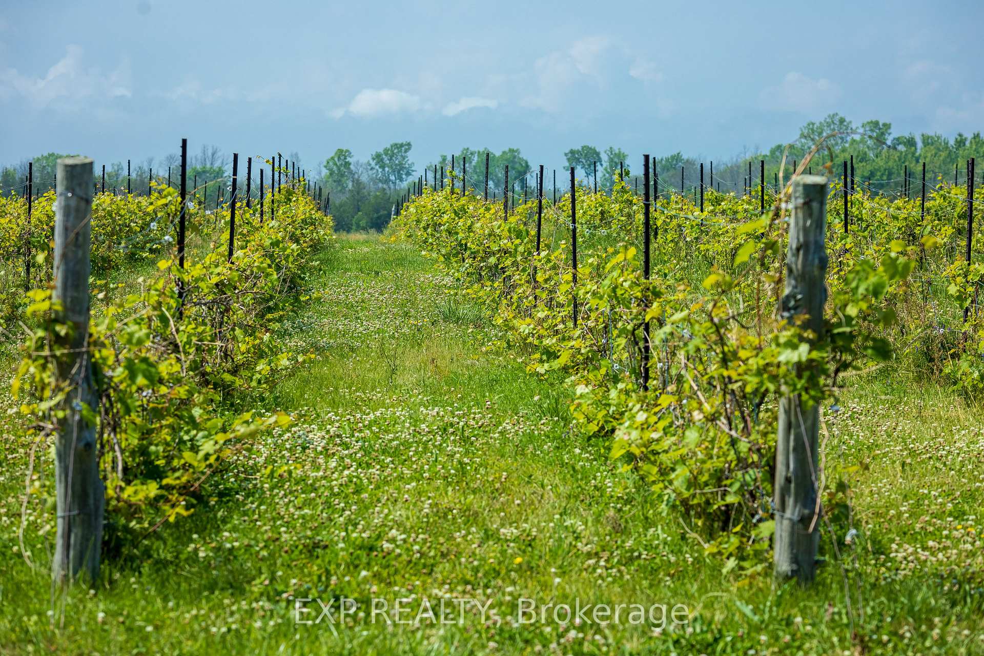Photo 39 of 3609 County Road 8, Prince Edward County, North Marysburg Ward — HOMEH