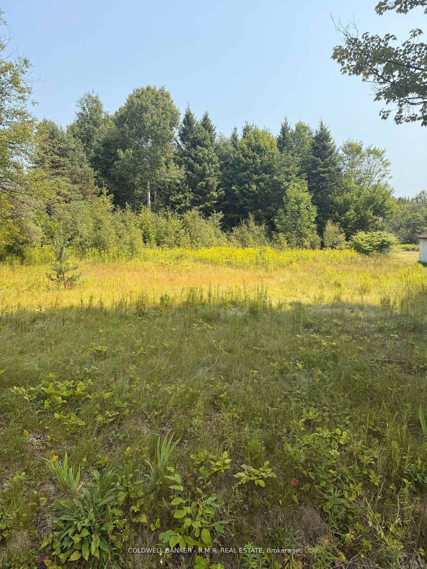 Photo of 3995 Boulter Road