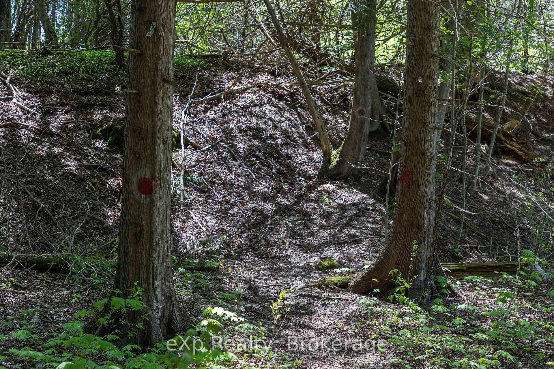 Photo 33 of 157659 7th Line, Meaford — HOMEH