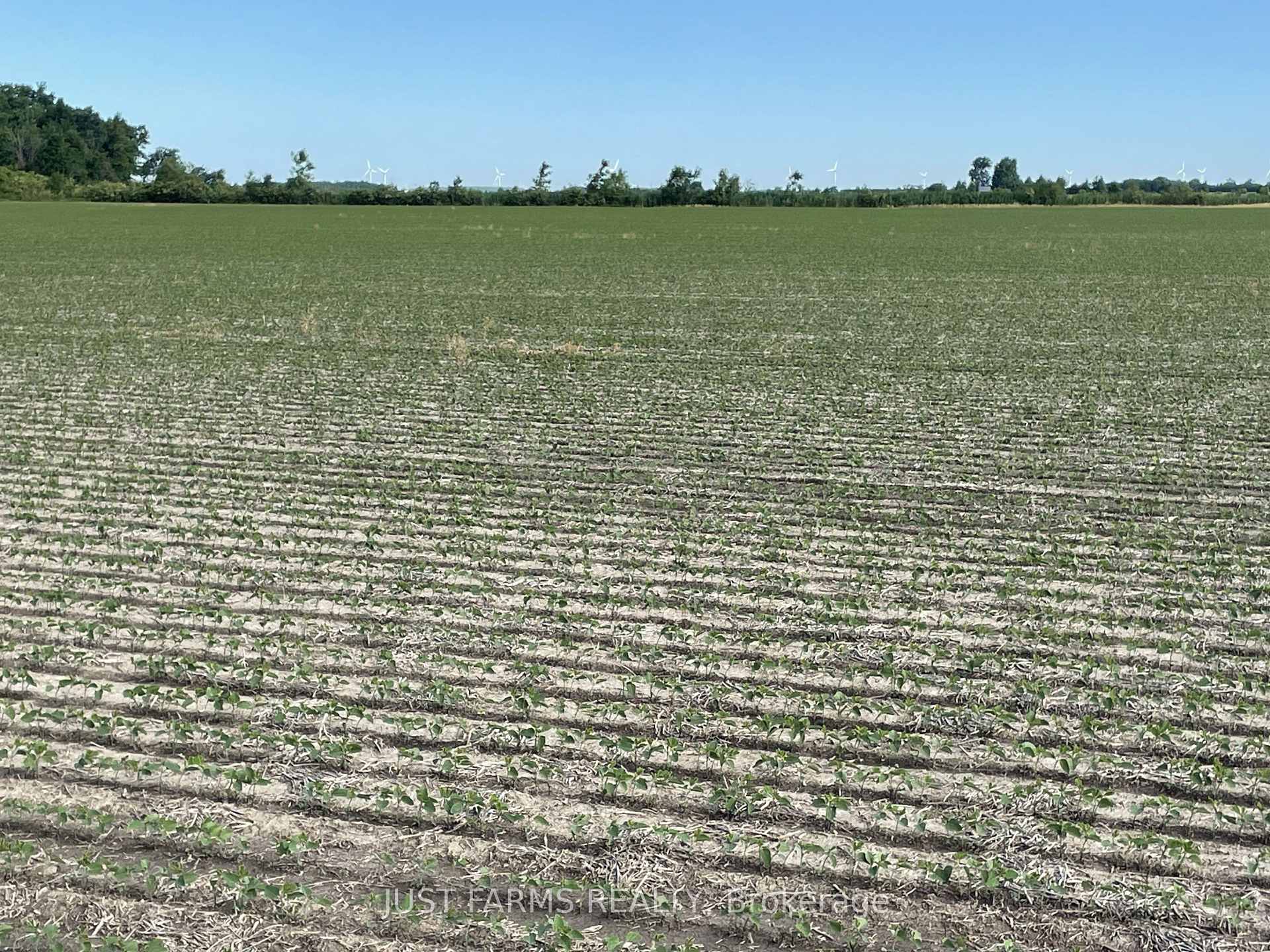 Photo of LT 26&27 Third Concession Line