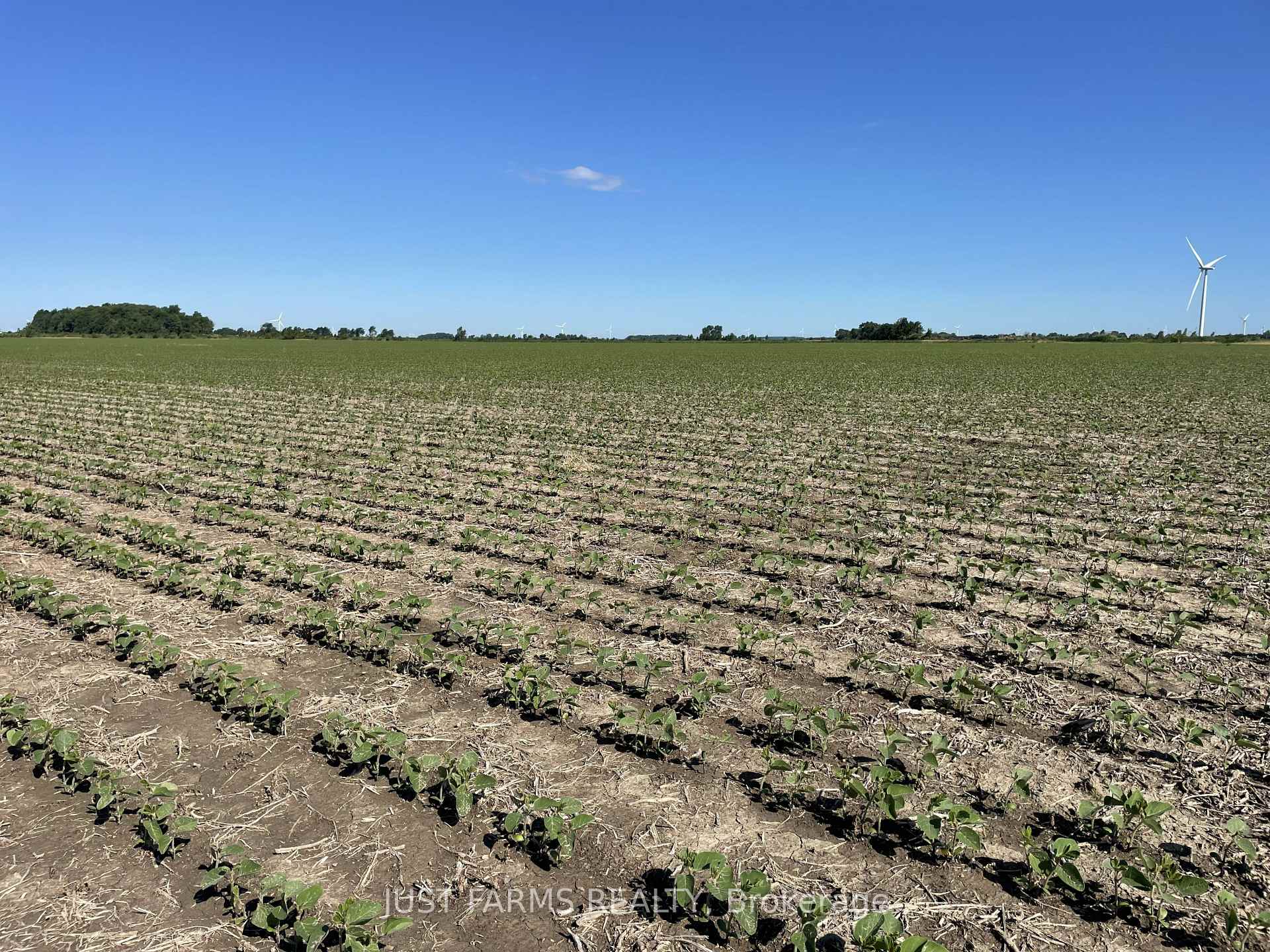 Photo 2 of LT 26&27 Third Concession Line, Chatham-Kent, Romney — HOMEH