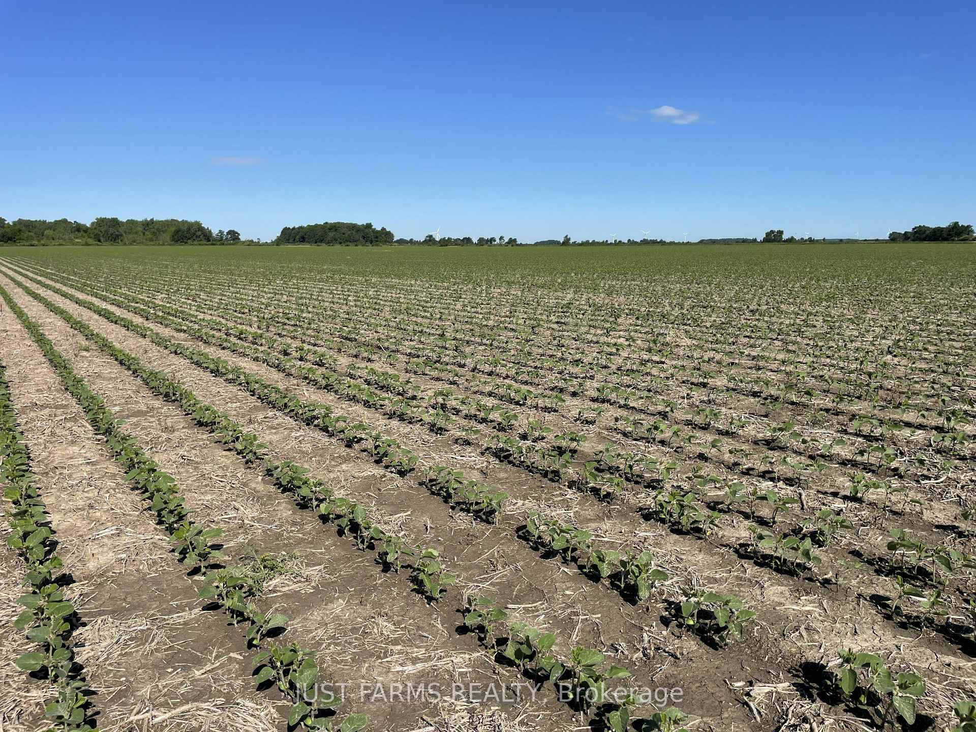 Photo 3 of LT 26&27 Third Concession Line, Chatham-Kent, Romney — HOMEH