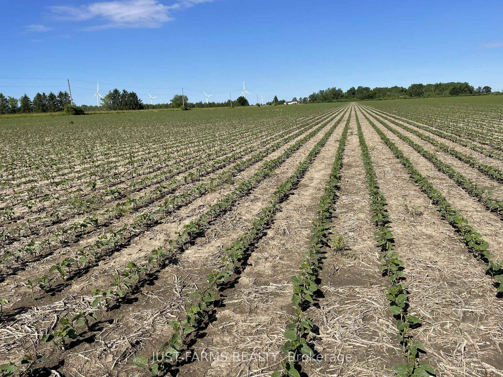 Photo 4 of LT 26&27 Third Concession Line, Chatham-Kent, Romney — HOMEH