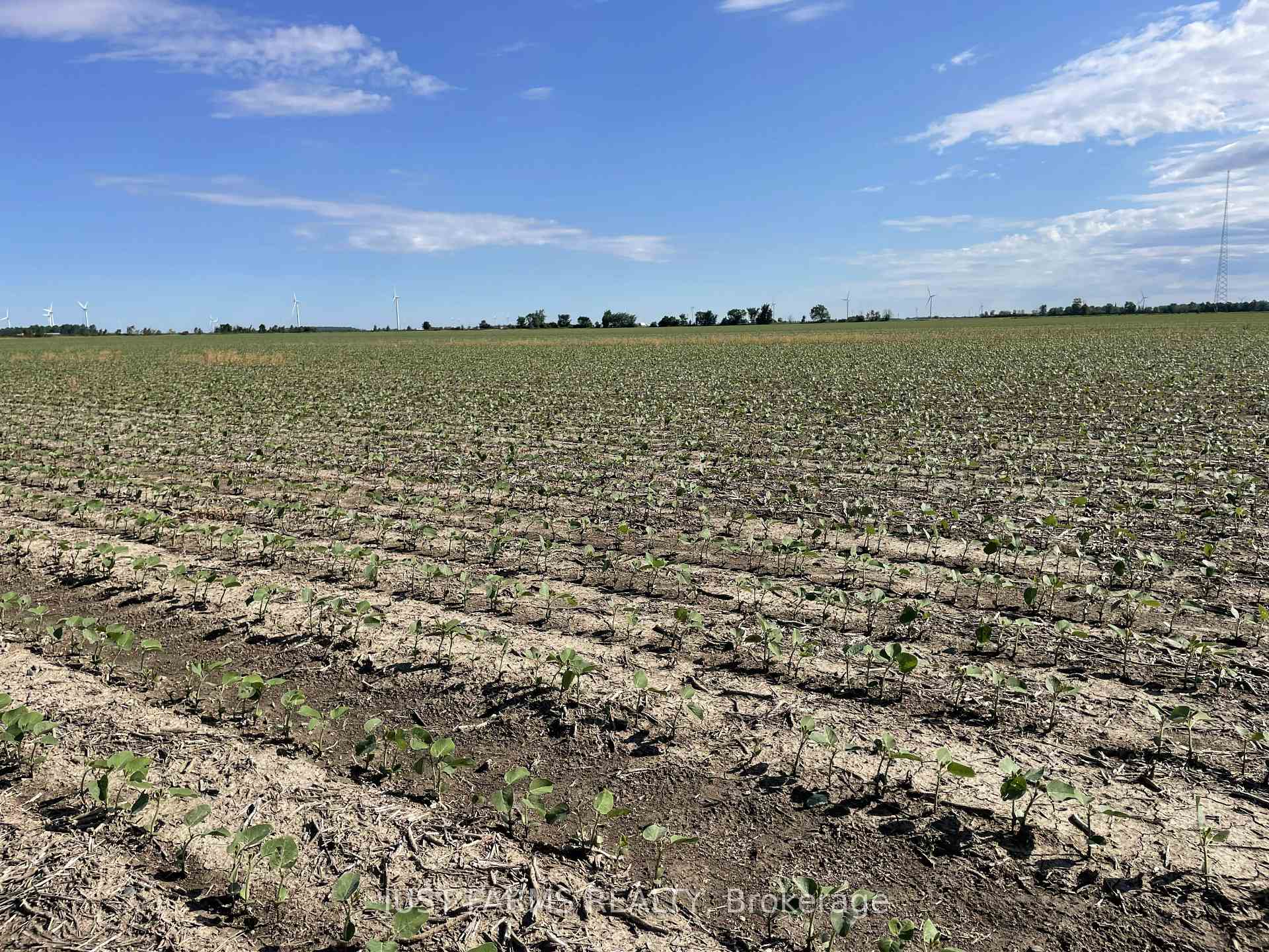 Photo 5 of LT 26&27 Third Concession Line, Chatham-Kent, Romney — HOMEH